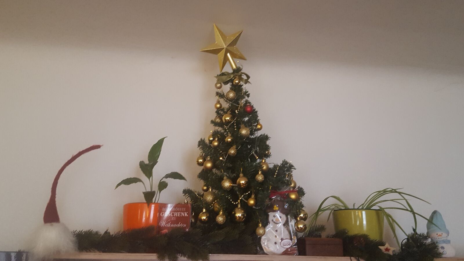 Samsung GALAXY S6 edge sample photo. Fir tree, christmas photography