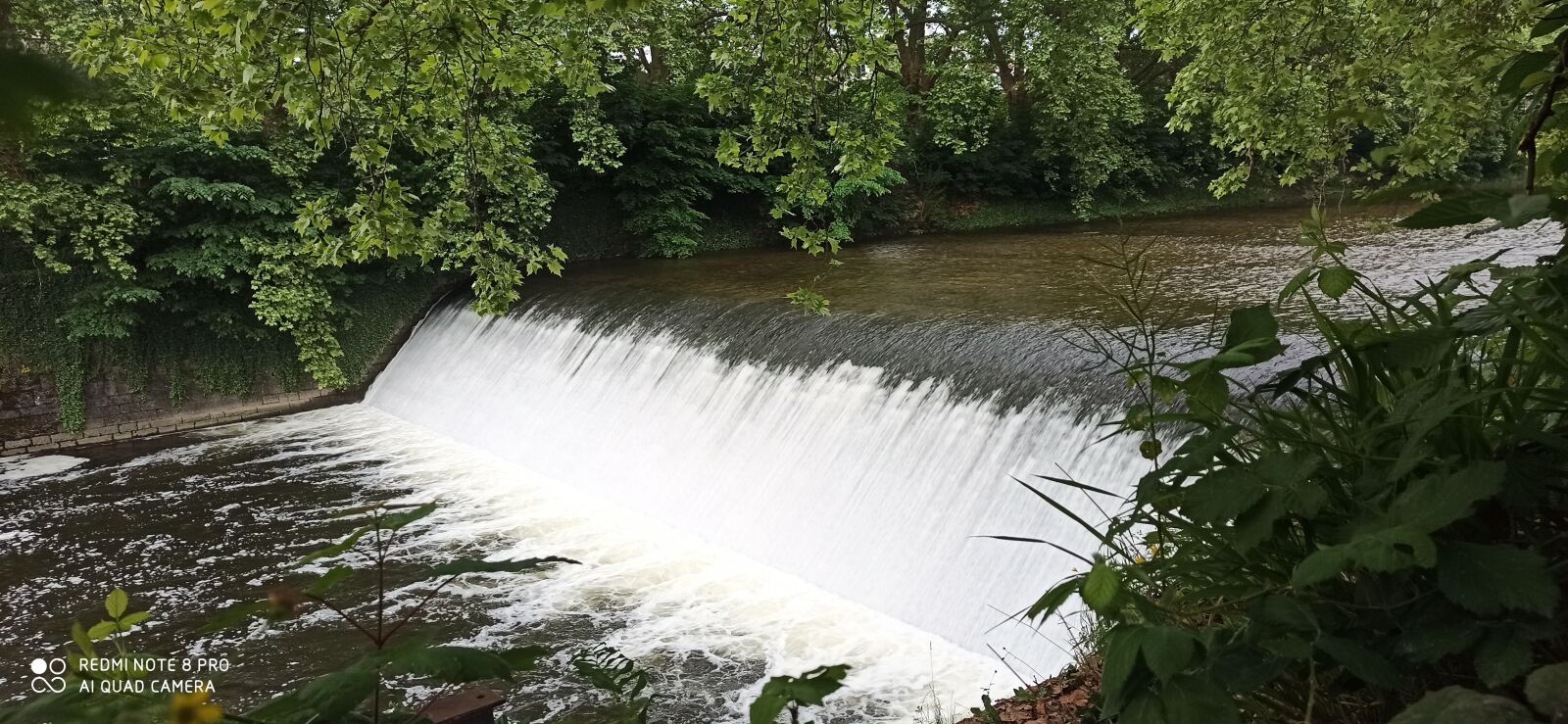 Xiaomi Redmi Note 8 Pro sample photo. Natural, water, fall photography