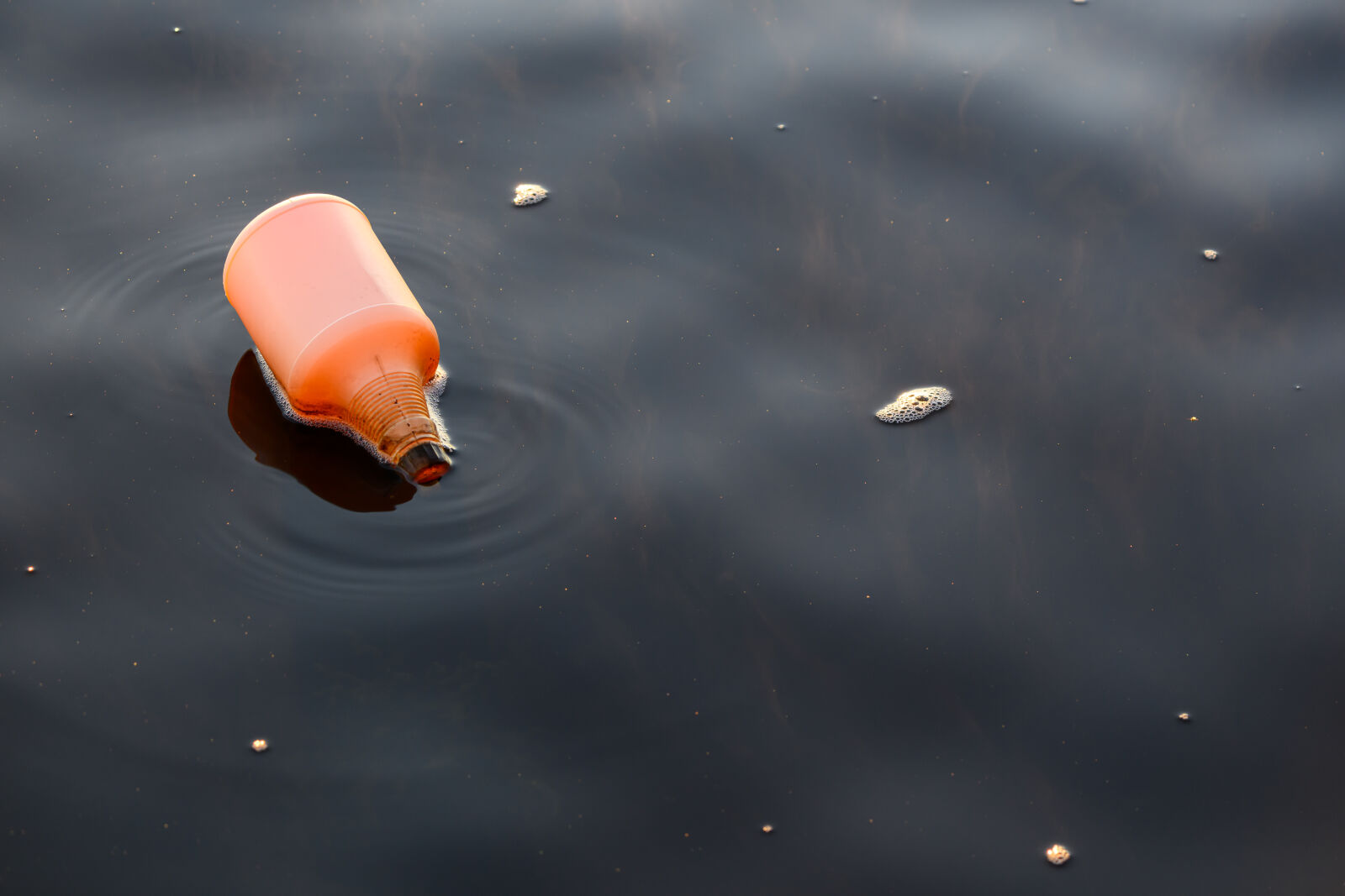 Nikon Z8 sample photo. Marker in the lake photography