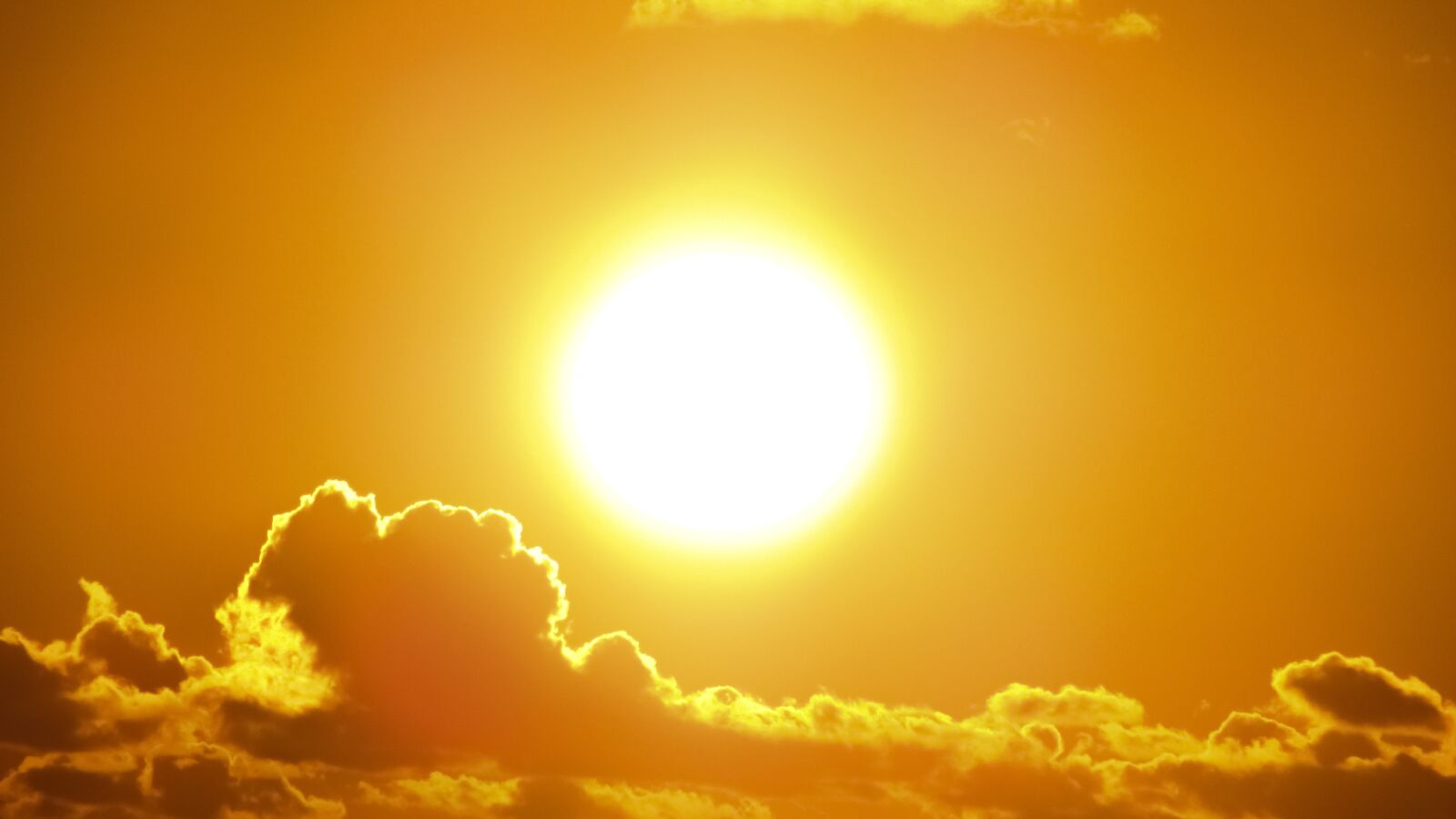 Canon PowerShot SX400 IS sample photo. Sun, bright, yellow photography