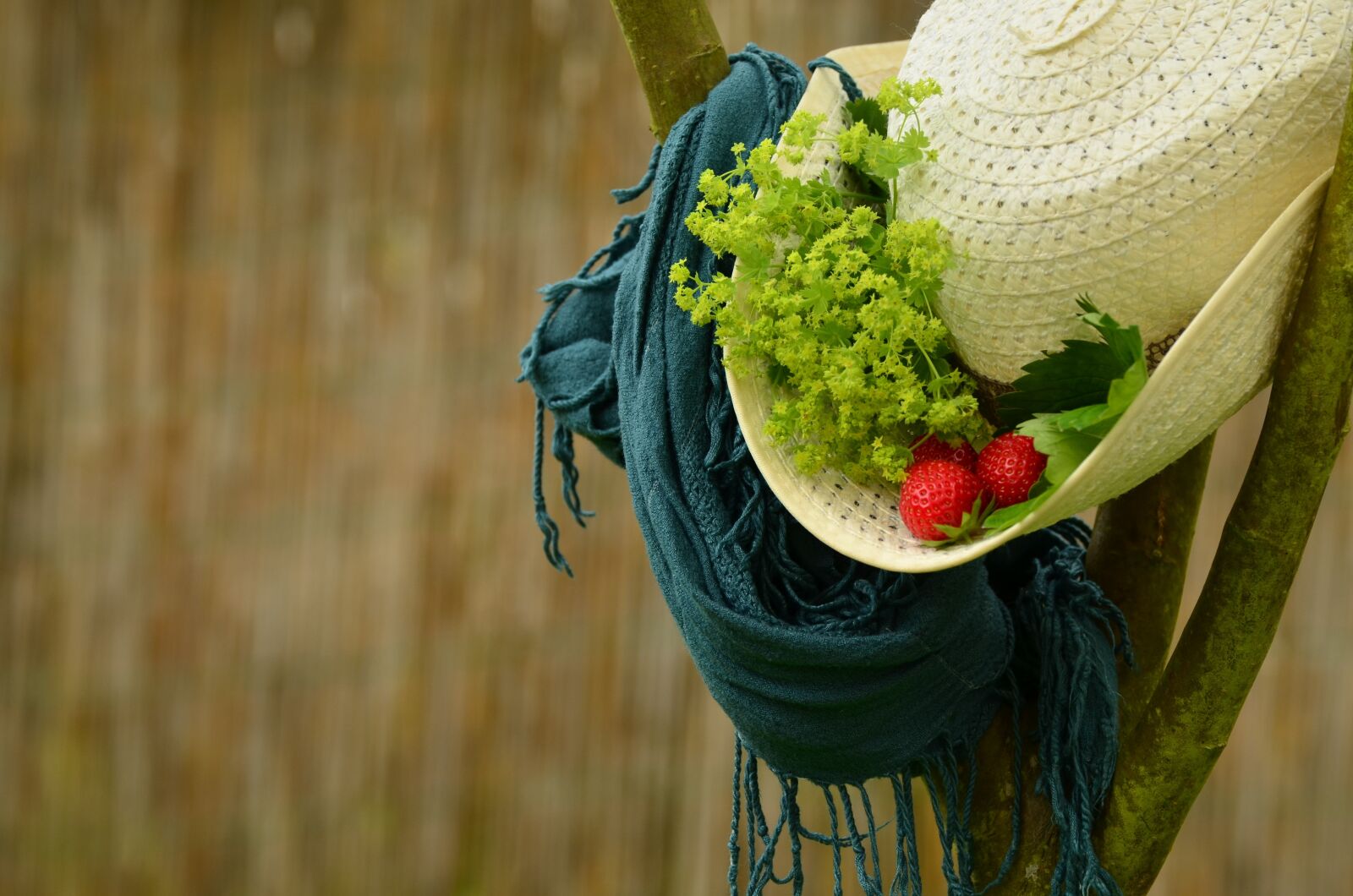 Nikon D5100 sample photo. Hat, summer, straw hat photography