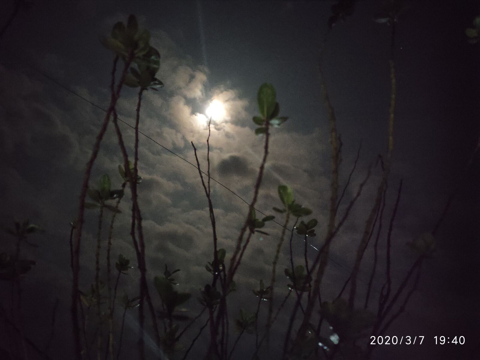 Xiaomi POCO X2 sample photo. Nature, moon, plants photography