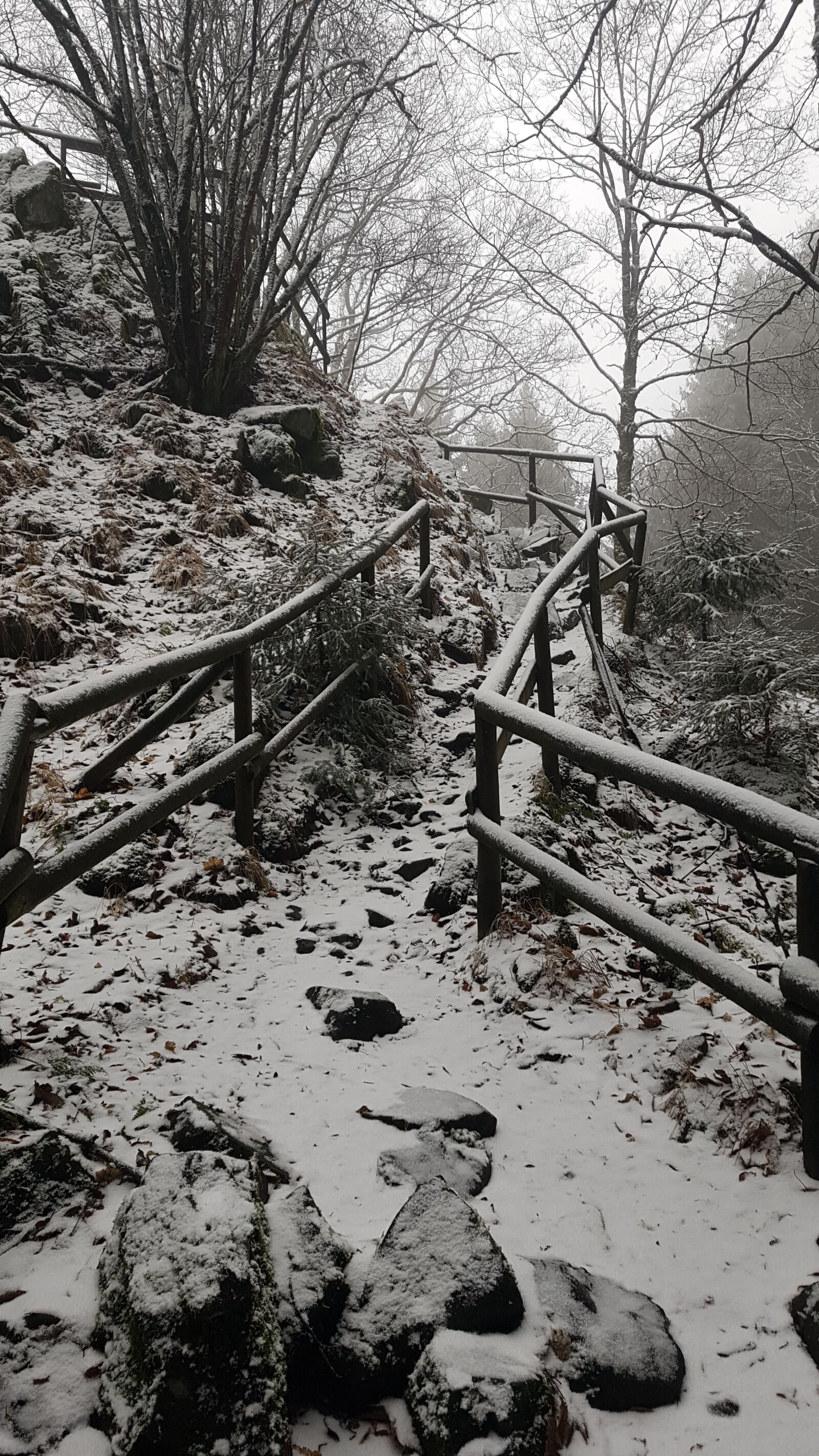 Samsung SM-G930F sample photo. Away, winter, hill photography