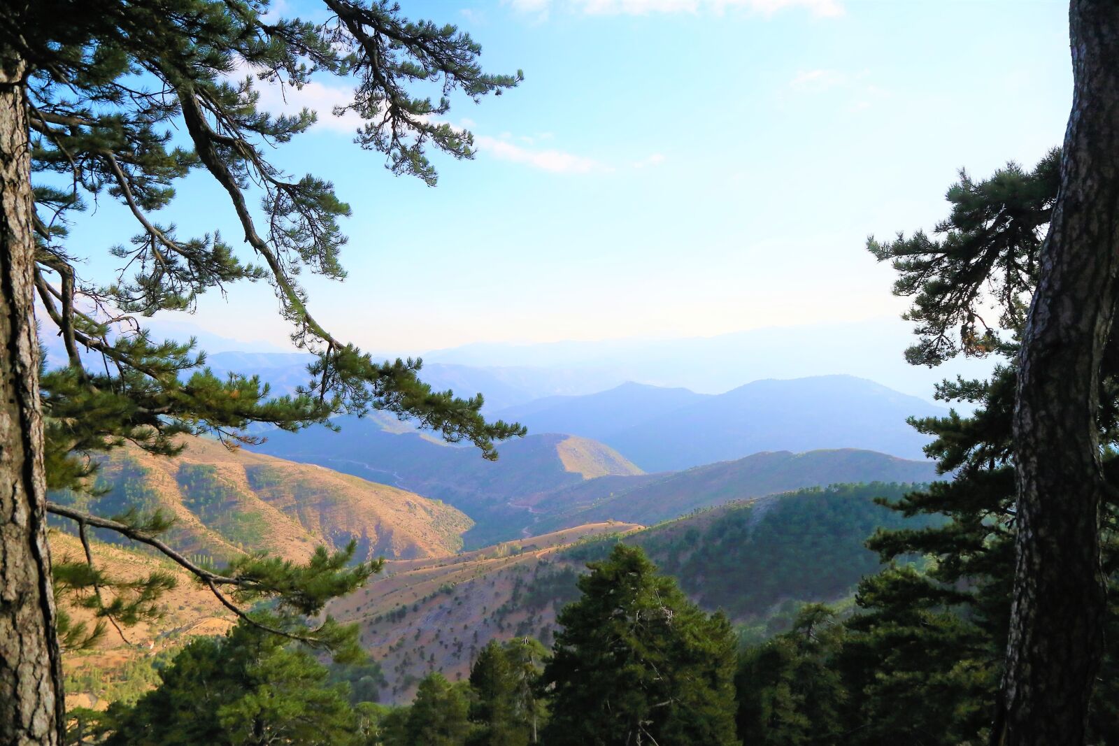 Canon EF 24-105mm F4L IS USM sample photo. Highs, mountains, forest photography