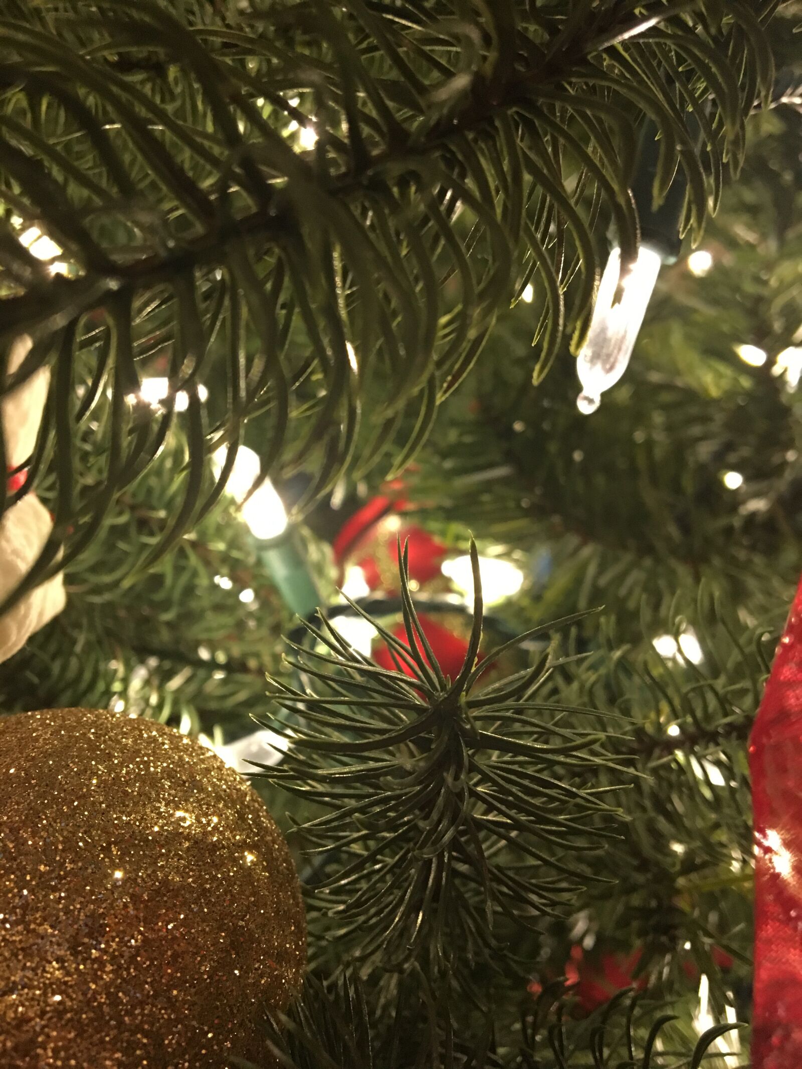 Apple iPhone 6s sample photo. Close, up, of, christmas photography