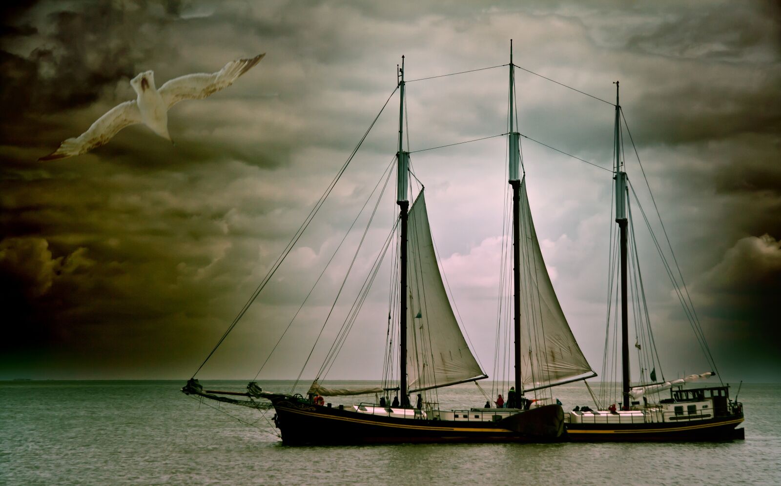 Canon EOS 400D (EOS Digital Rebel XTi / EOS Kiss Digital X) sample photo. Sailing boat, boat, seagull photography