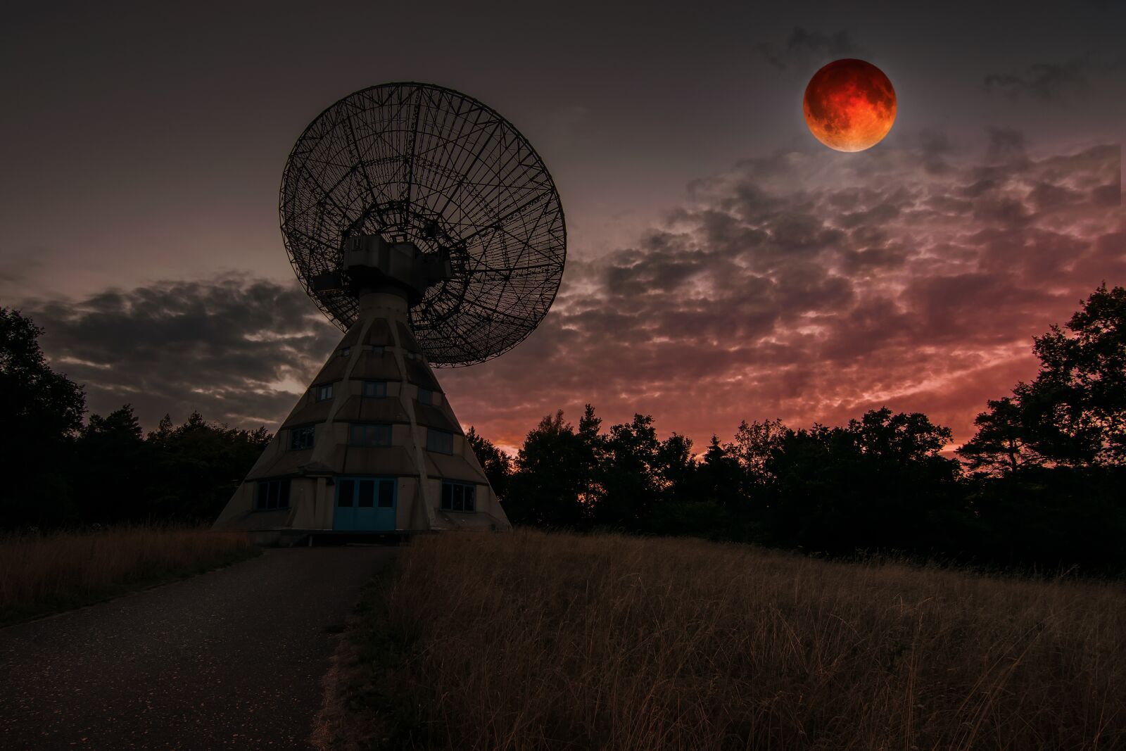 Nikon D5300 sample photo. Blood moon, moon, night photography