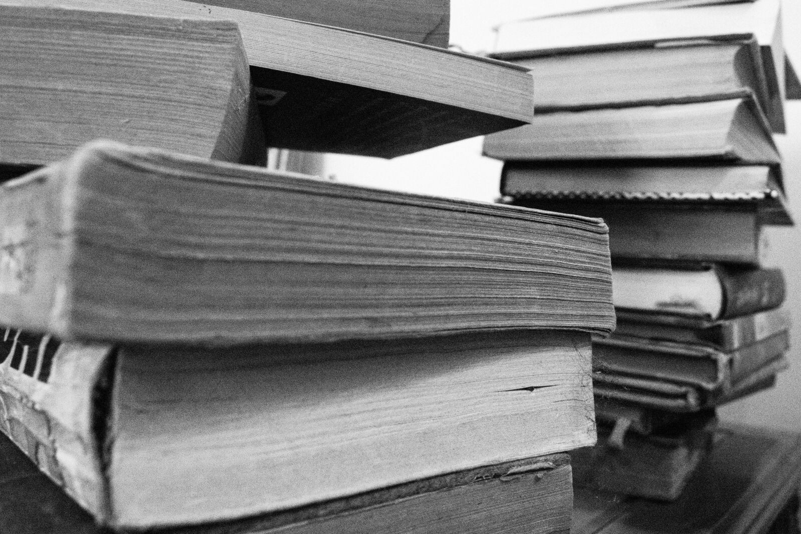 Nikon D3400 sample photo. Books knowledge, wisdom, reading photography
