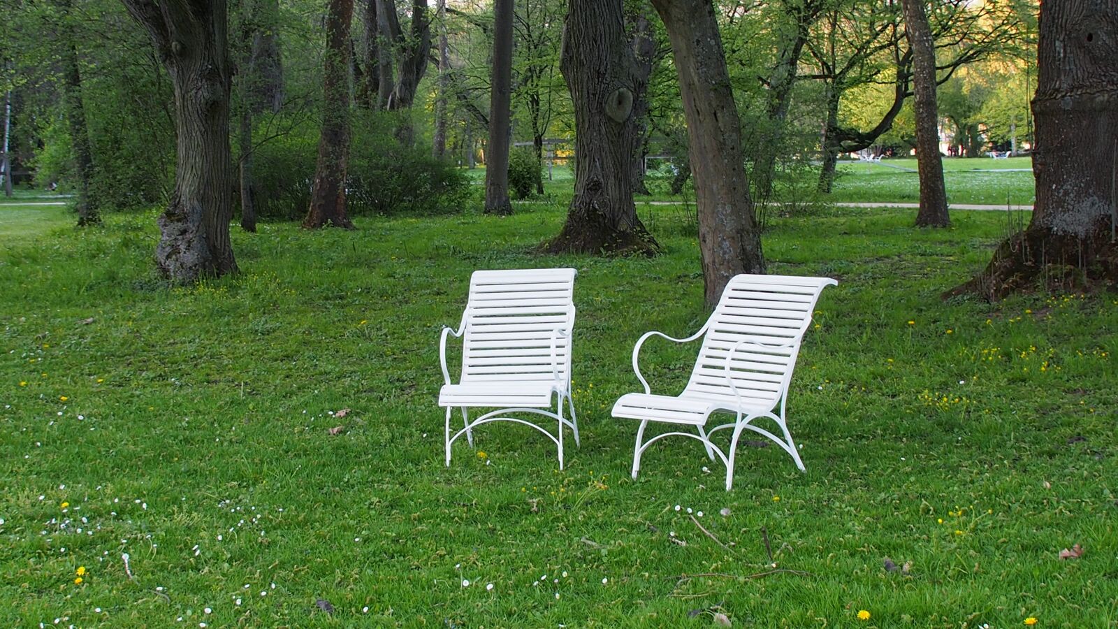 Olympus M.Zuiko Digital ED 14-150mm F4-5.6 II sample photo. Chairs, park, nature photography