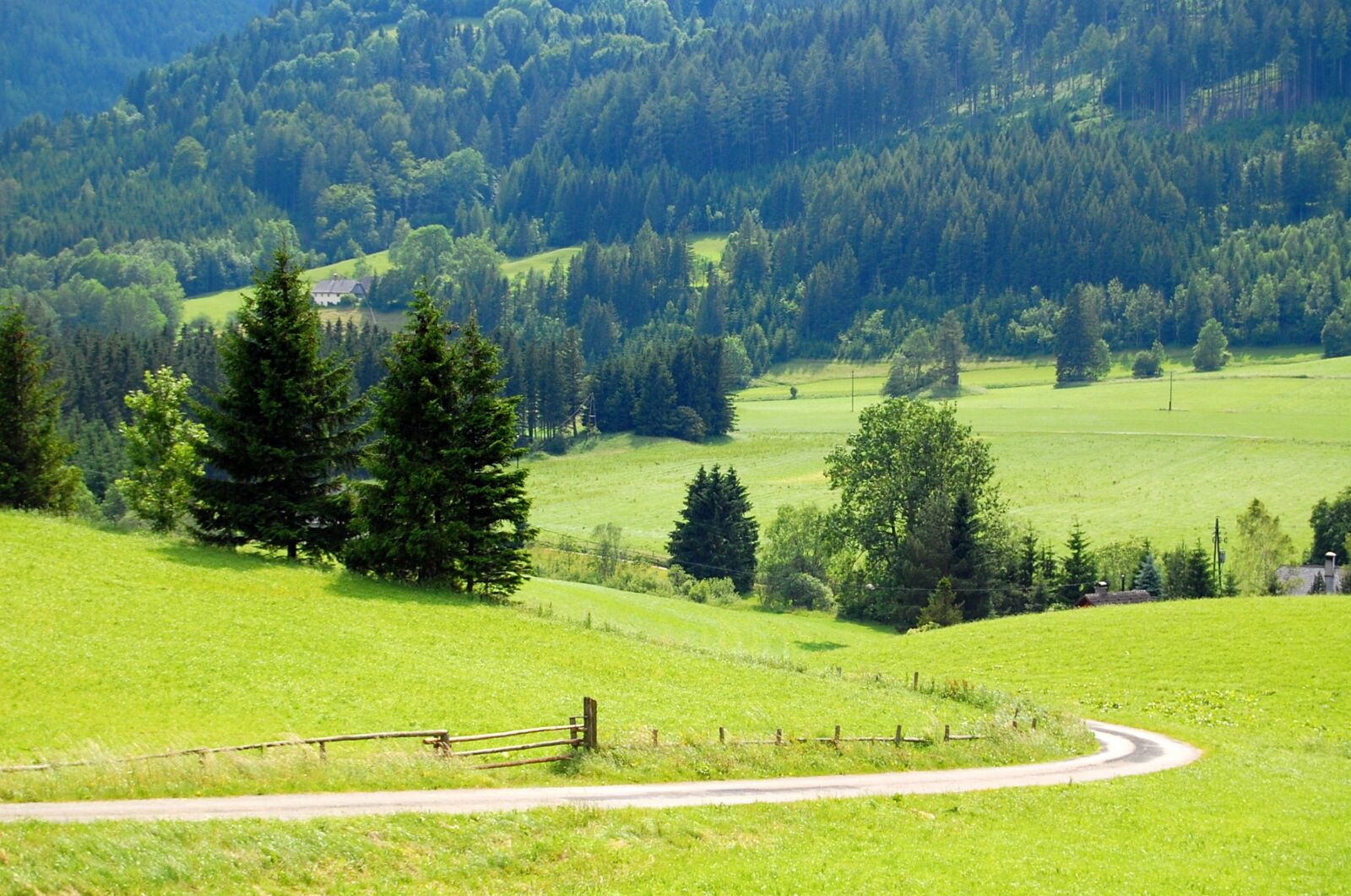 Nikon D40 sample photo. Austria, meadow, forest photography