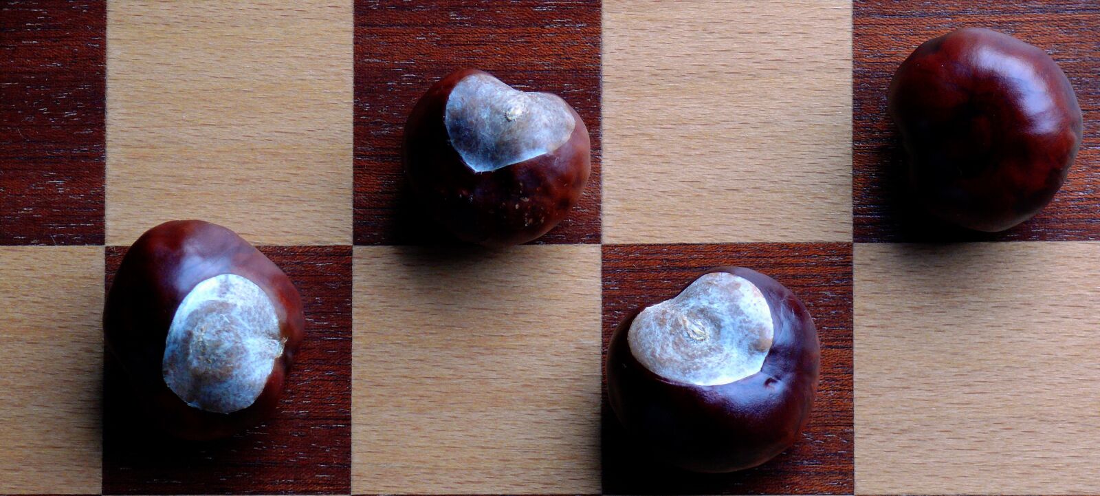 Leica V-LUX 1 sample photo. Chestnut, chestnut nuts, chestnut photography