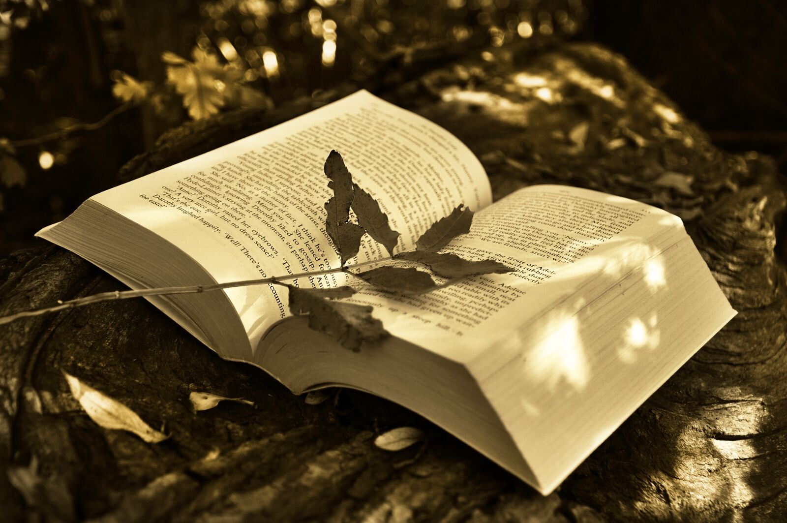 Nikon D90 sample photo. Book, reading, opened book photography