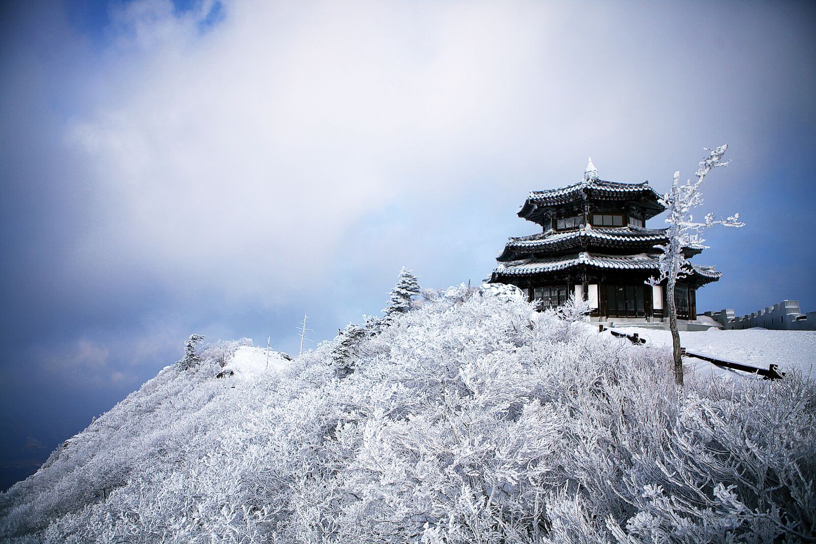 Canon EOS 5D Mark II sample photo. Winter, snow, nature photography