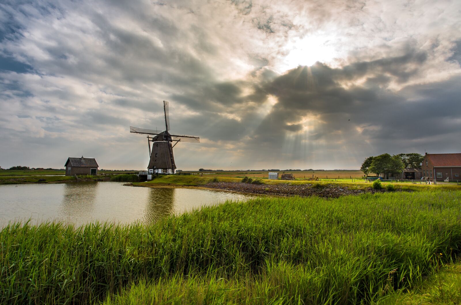 Nikon D600 sample photo. Windmill, holland, historically photography