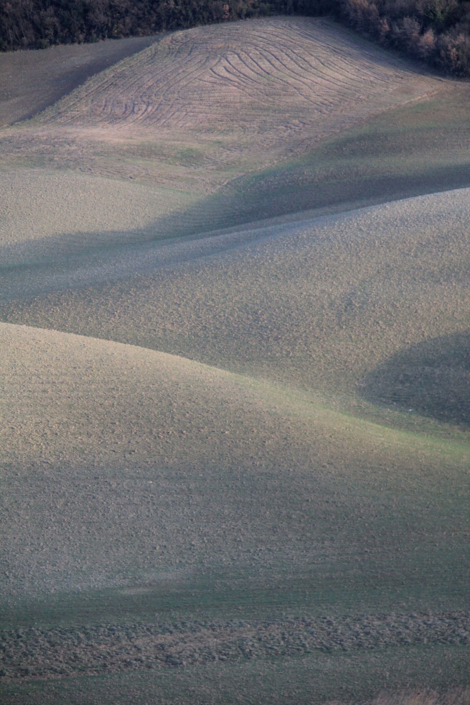 Canon EOS 550D (EOS Rebel T2i / EOS Kiss X4) sample photo. Home page, tuscany, italy photography