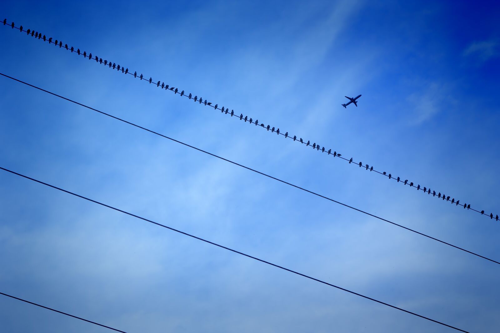 Canon EOS 500D (EOS Rebel T1i / EOS Kiss X3) sample photo. Sky, high, wire photography