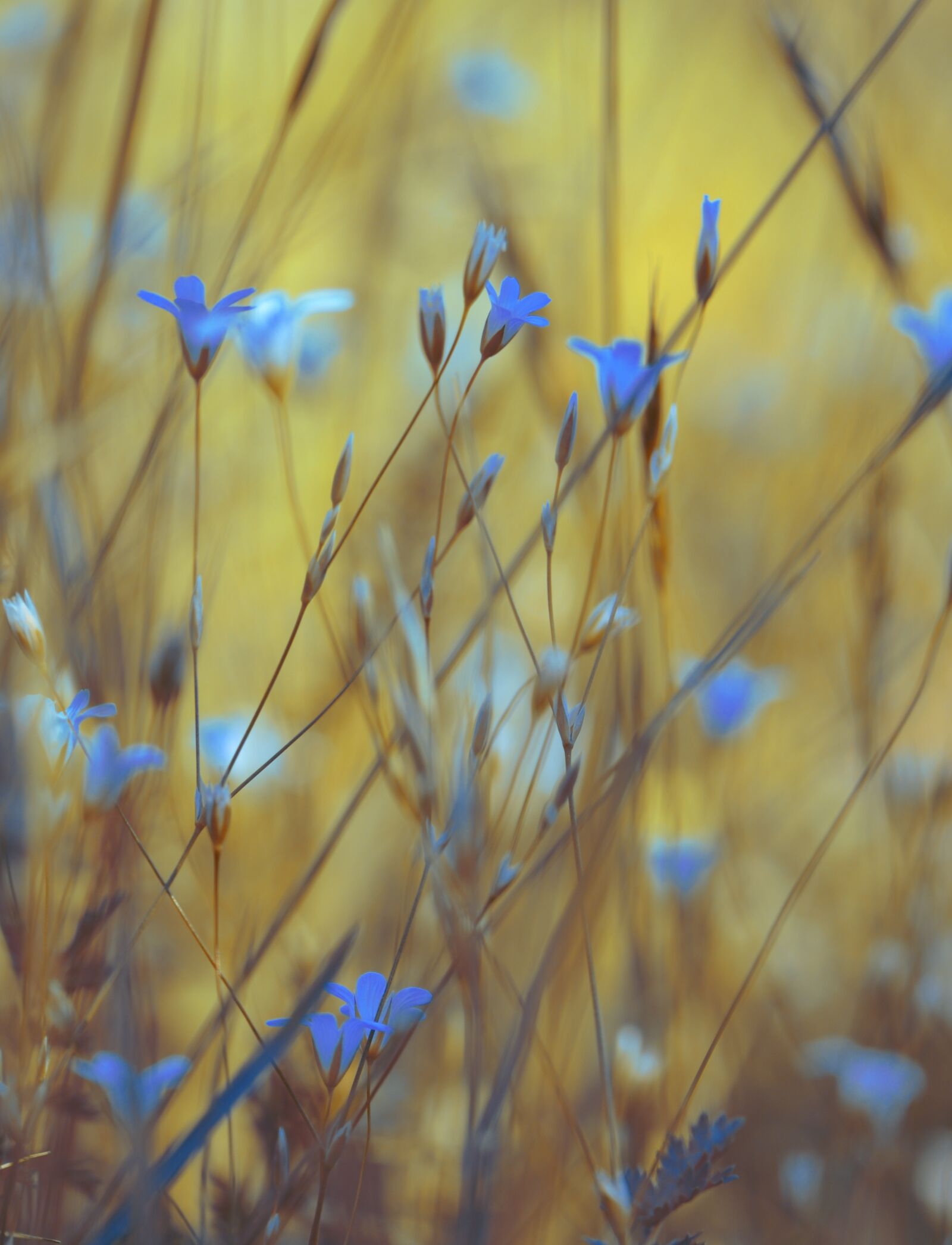 Nikon D90 sample photo. Summer, spring, in the photography