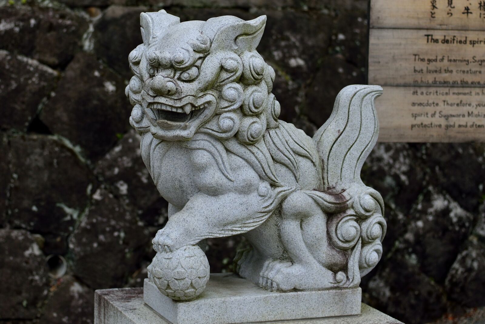 Nikon D610 sample photo. Japan, temple, asia photography
