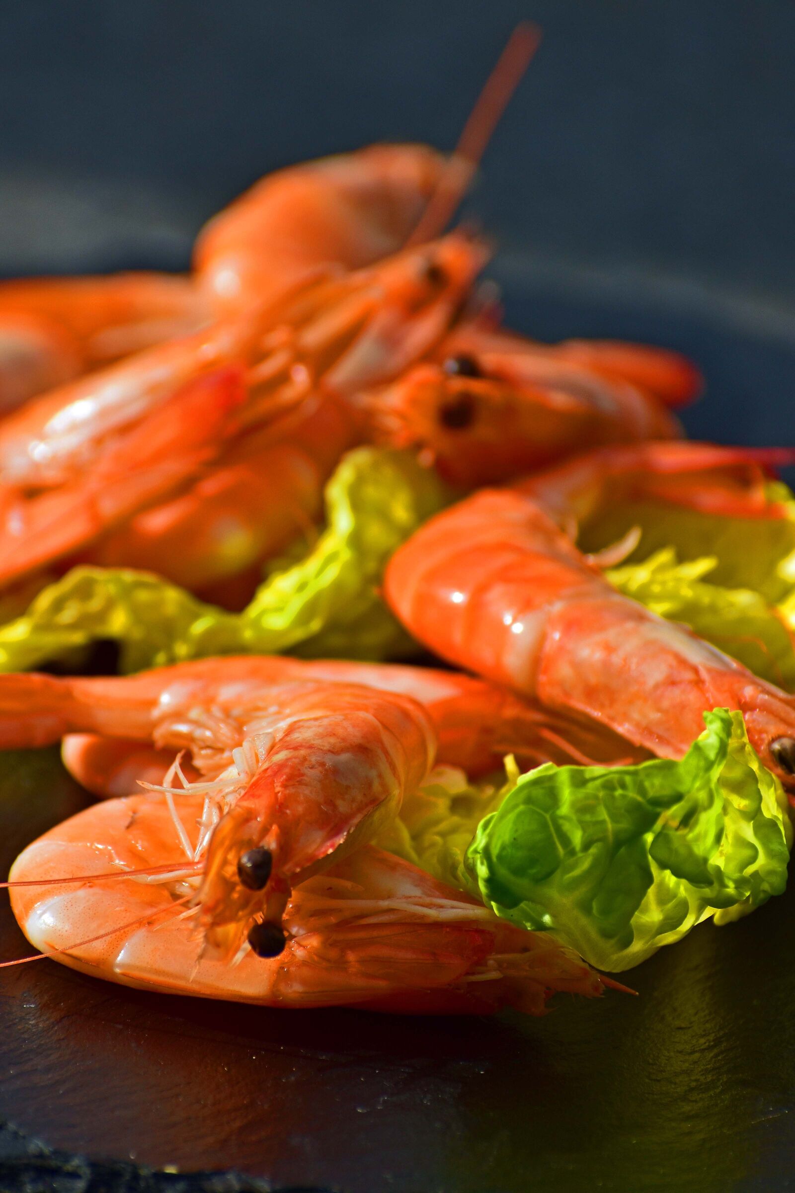 Nikon D7200 sample photo. Shrimp, cooked, unpeeled photography