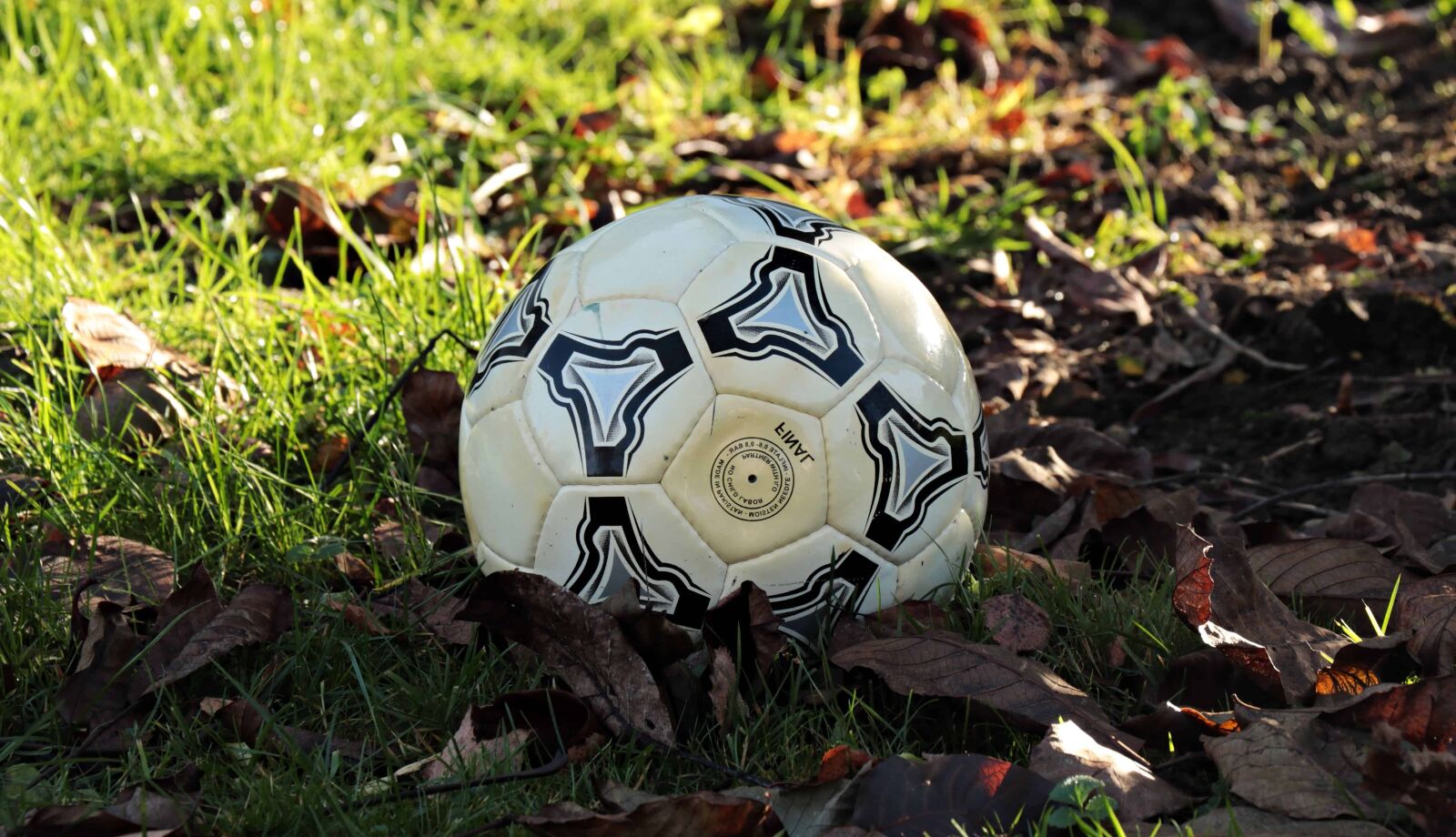 Canon EOS 80D sample photo. Football ball, sport, green photography