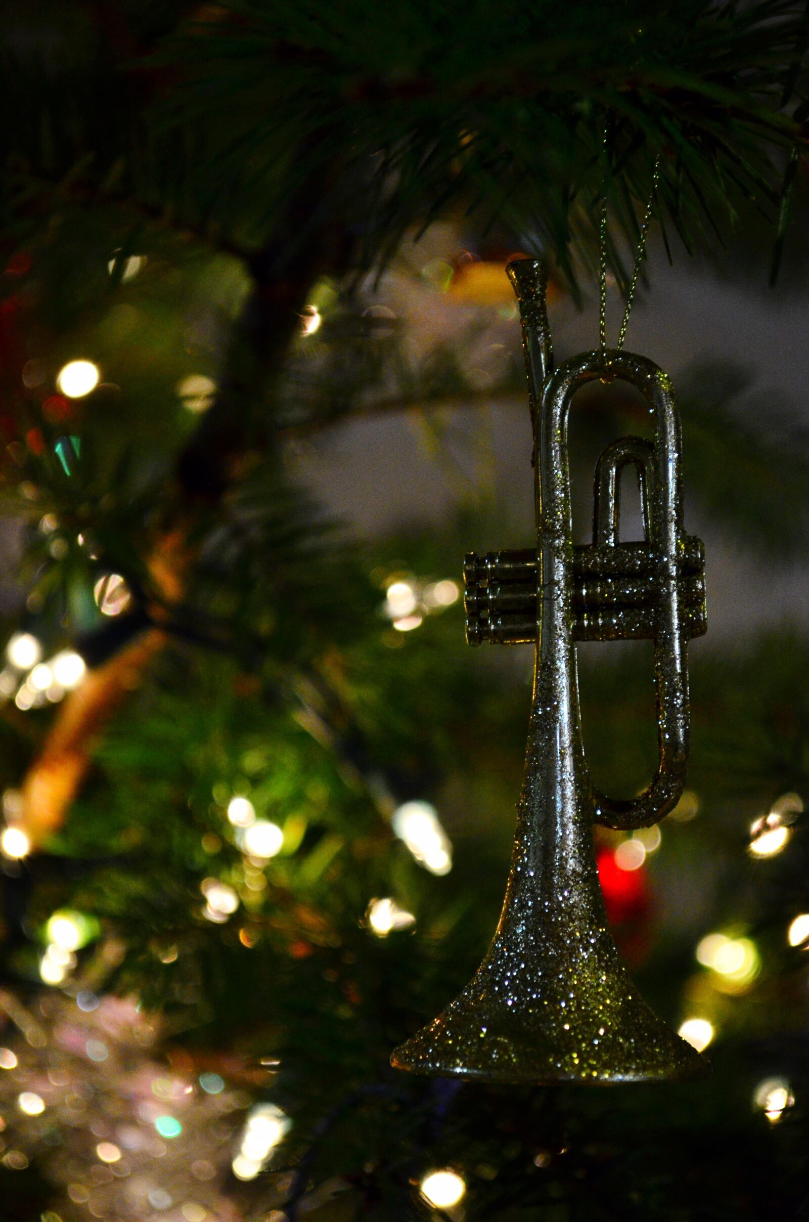 Nikon D5100 sample photo. Trumpet, christmas, decoration photography