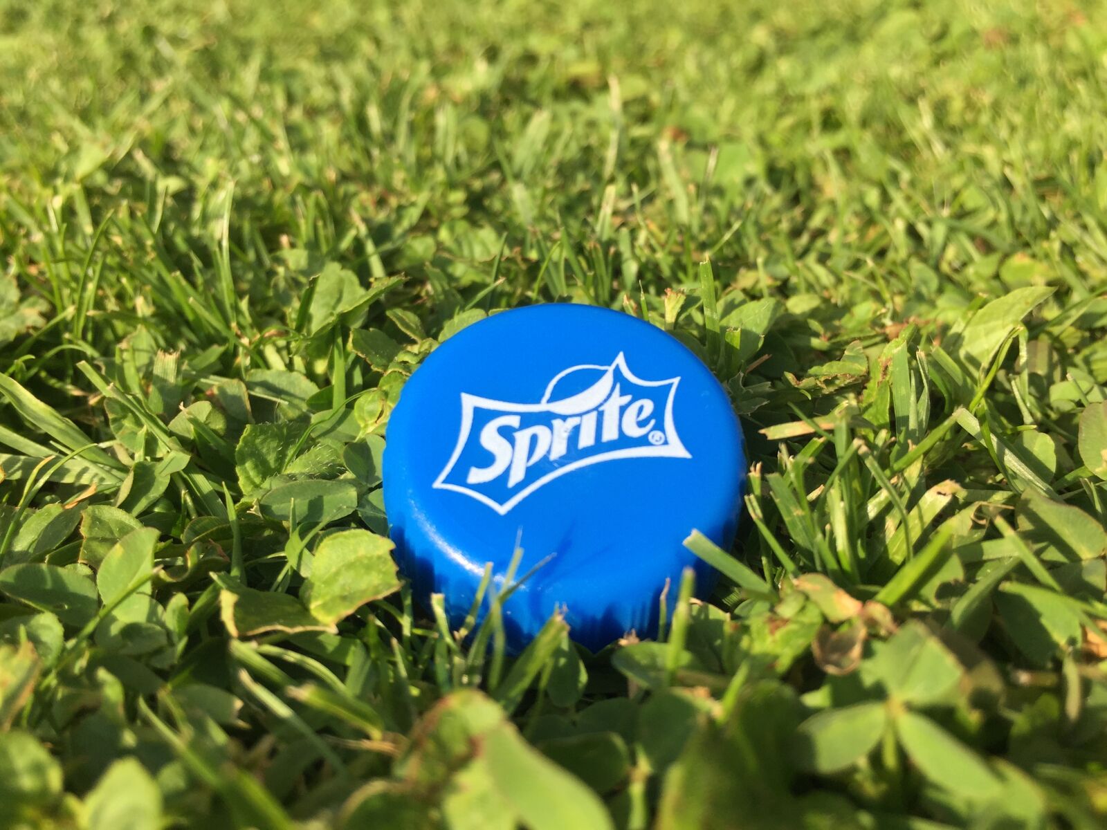 iPhone 6 Plus back camera 4.15mm f/2.2 sample photo. Sprite, meadow, lid photography