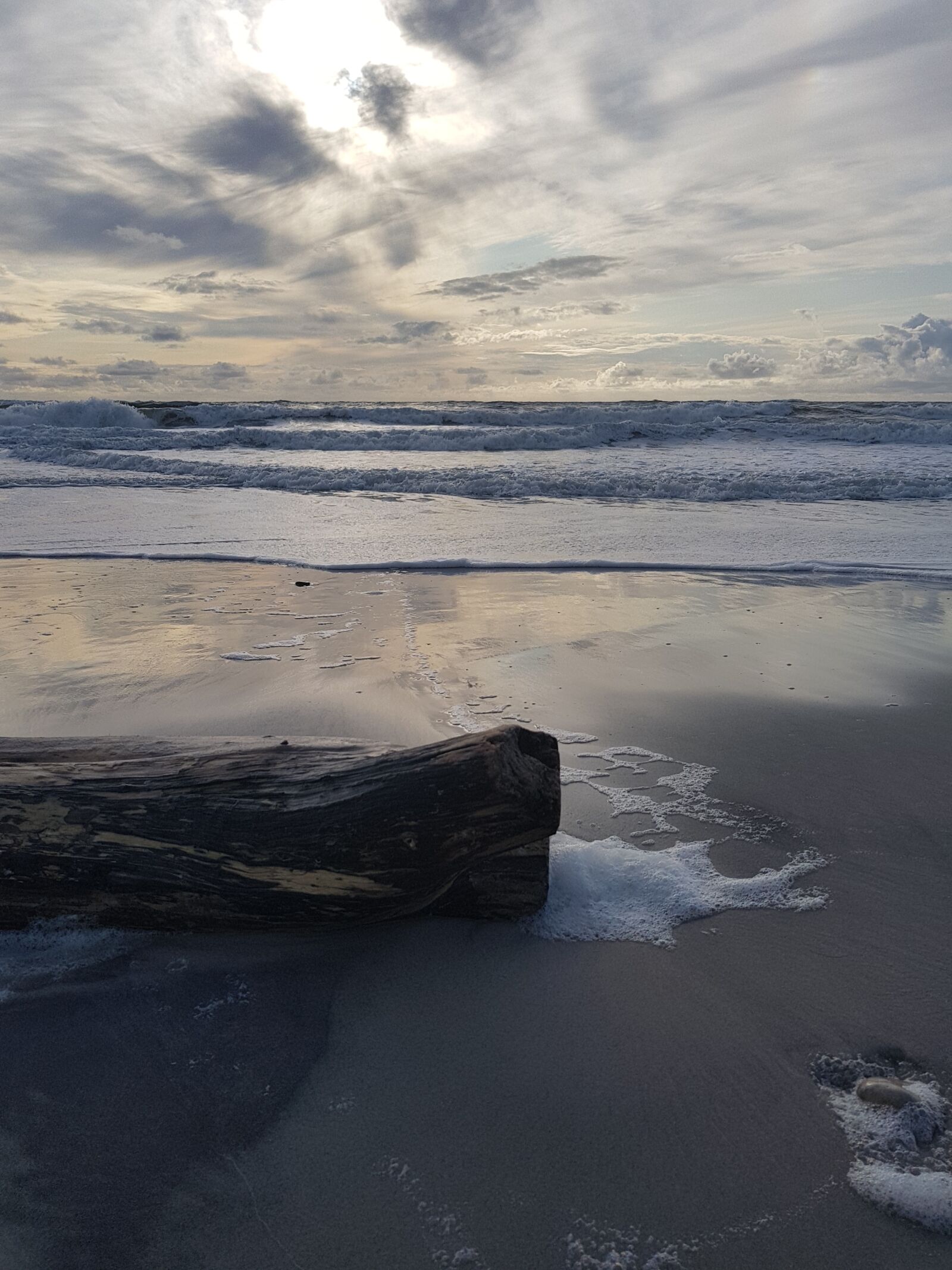Samsung Galaxy S8 sample photo. Wood, sand, beach photography