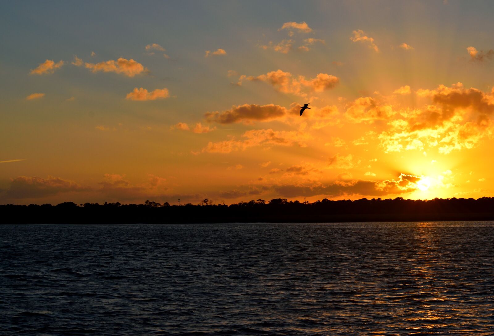 Nikon D3300 sample photo. Sunset, sky, orange color photography