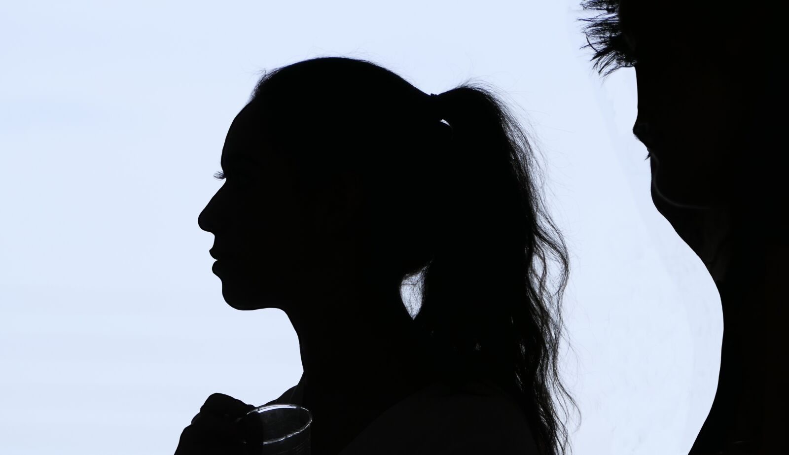 Panasonic Lumix DMC-FZ2500 (Lumix DMC-FZ2000) sample photo. Silhouette, woman, man photography
