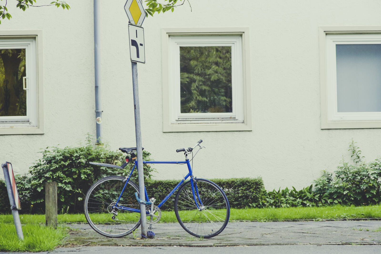 Canon EOS 5D sample photo