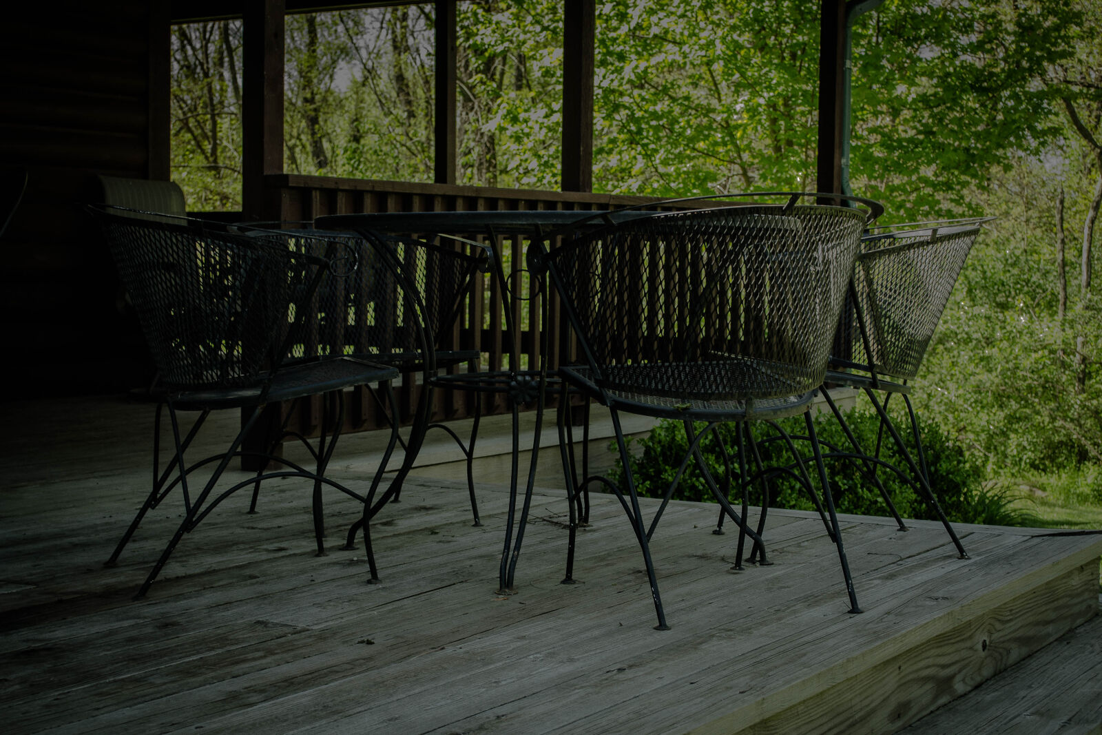 Nikon D3100 sample photo