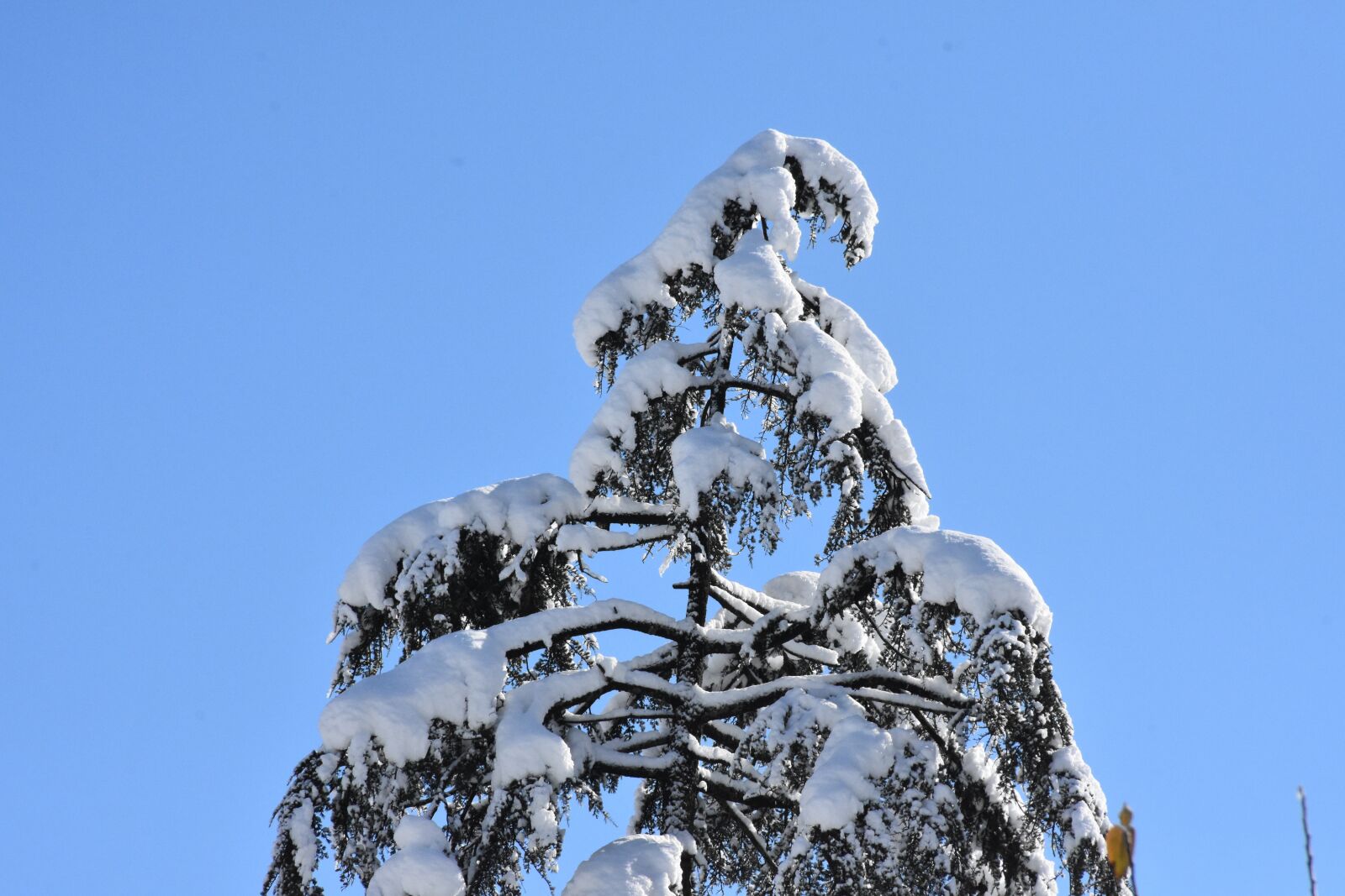 Nikon D7200 sample photo. Ice, snow, village photography