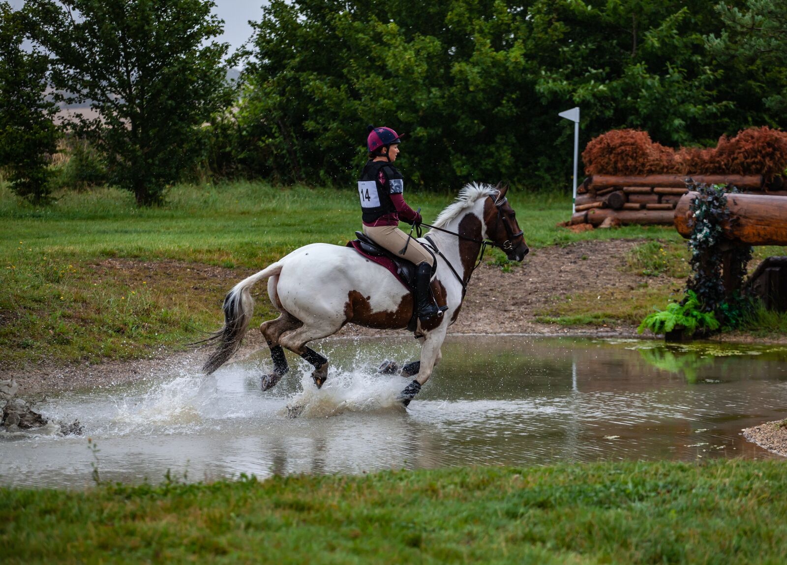 Canon EOS 5D Mark II + Canon EF 70-200mm F4L USM sample photo. Horse gallops through water photography