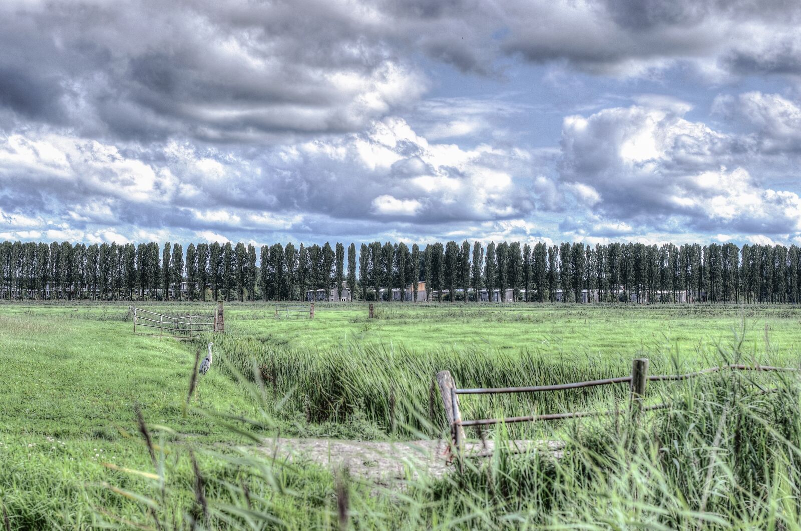 Nikon D600 sample photo. Sky, blue, green photography