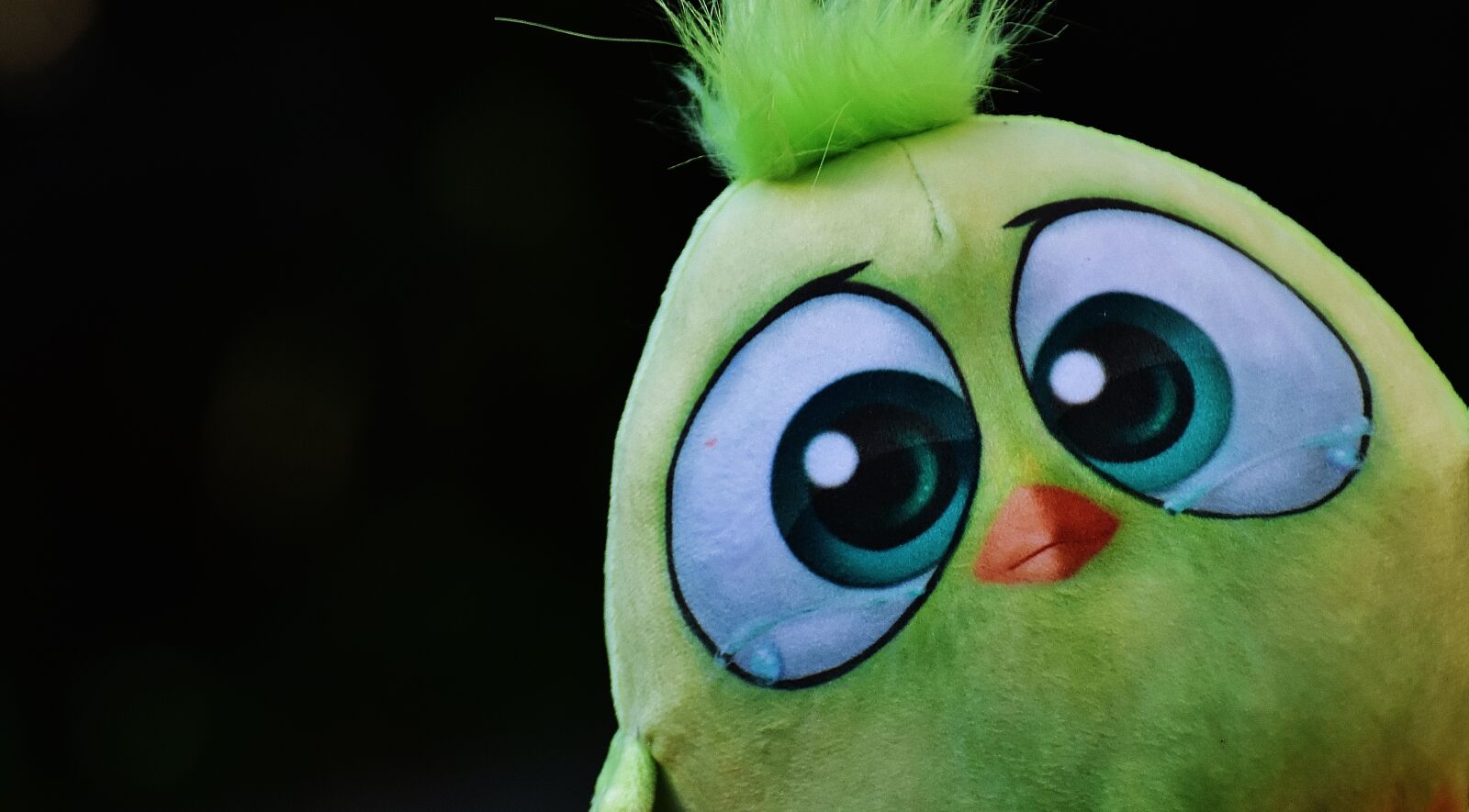 Nikon D7200 sample photo. Bird, birdie, plush photography