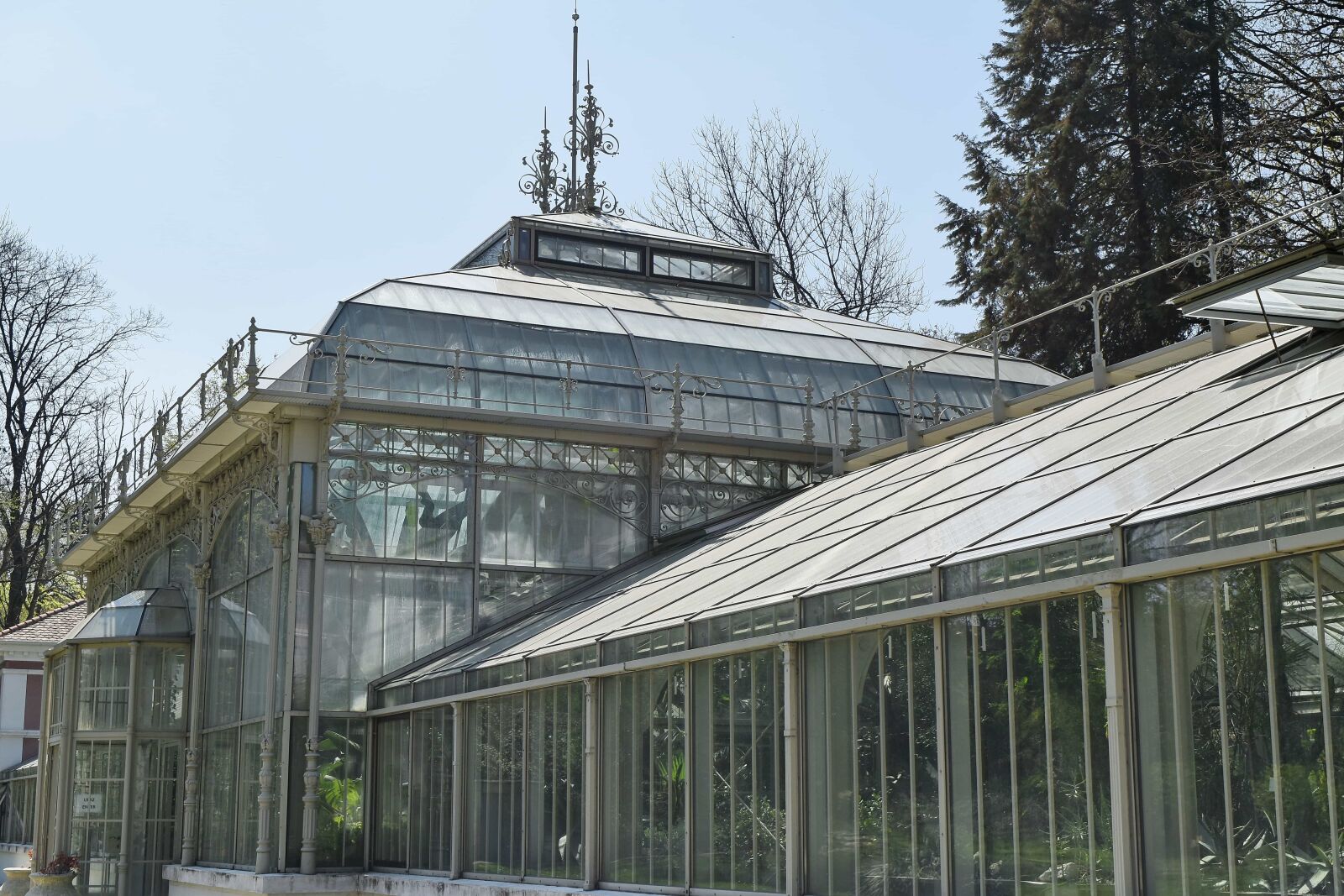Nikon D5500 sample photo. Botanical, garden, greenhouse, architecture photography