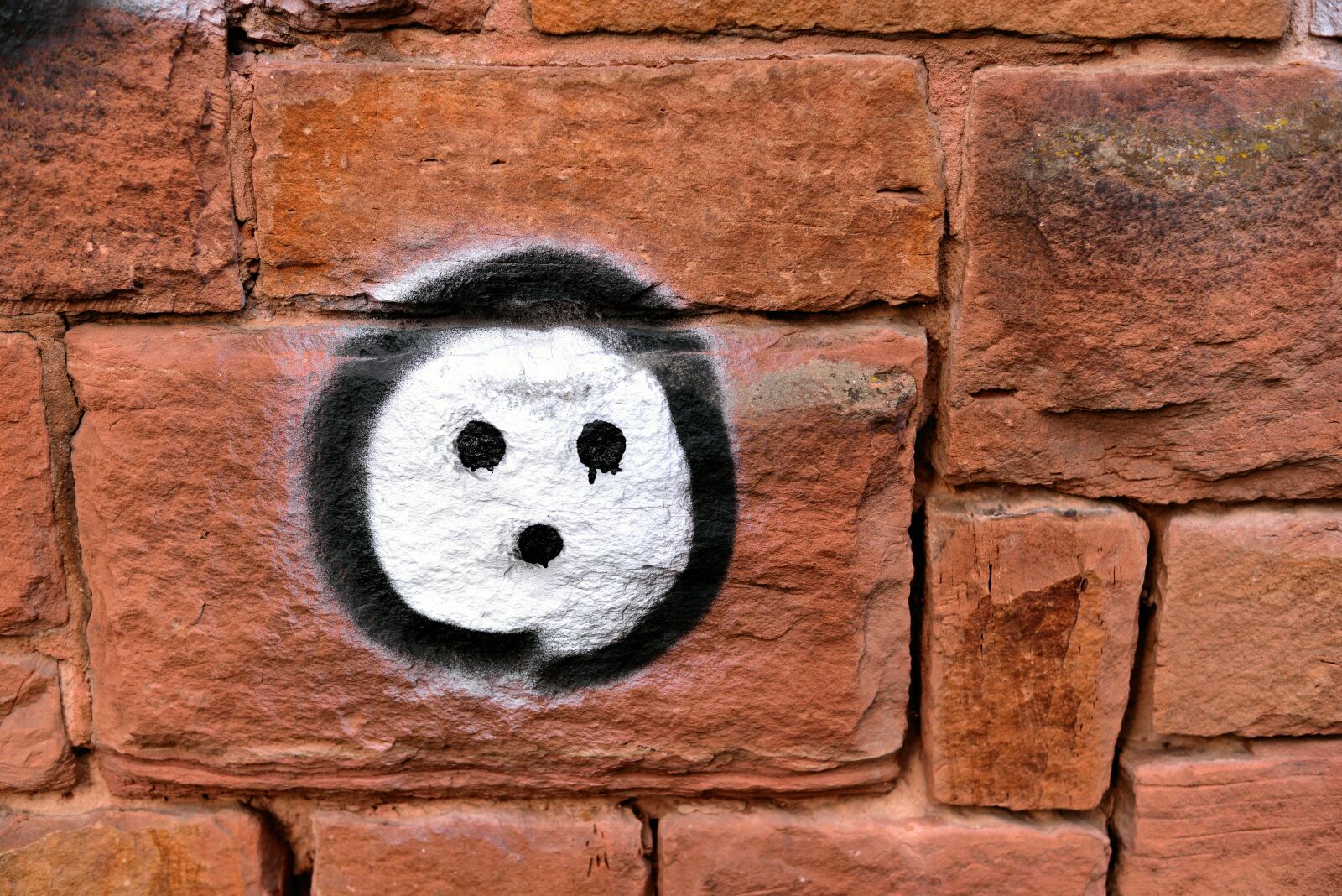 Nikon D610 sample photo. Bricks, graffiti, spray photography