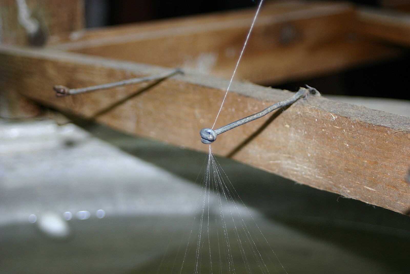 Canon EOS 300D (EOS Digital Rebel / EOS Kiss Digital) sample photo. Silk thread, silkworm, thread photography