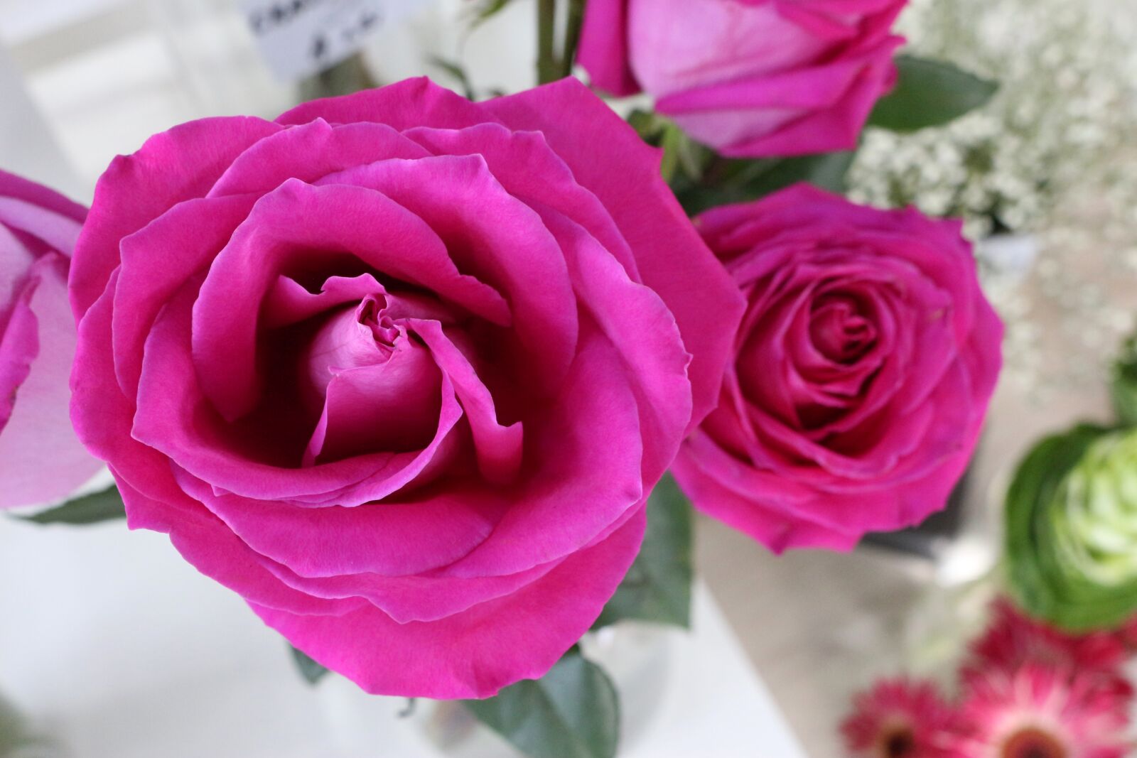Canon EOS 700D (EOS Rebel T5i / EOS Kiss X7i) sample photo. Rose, flower, floral photography
