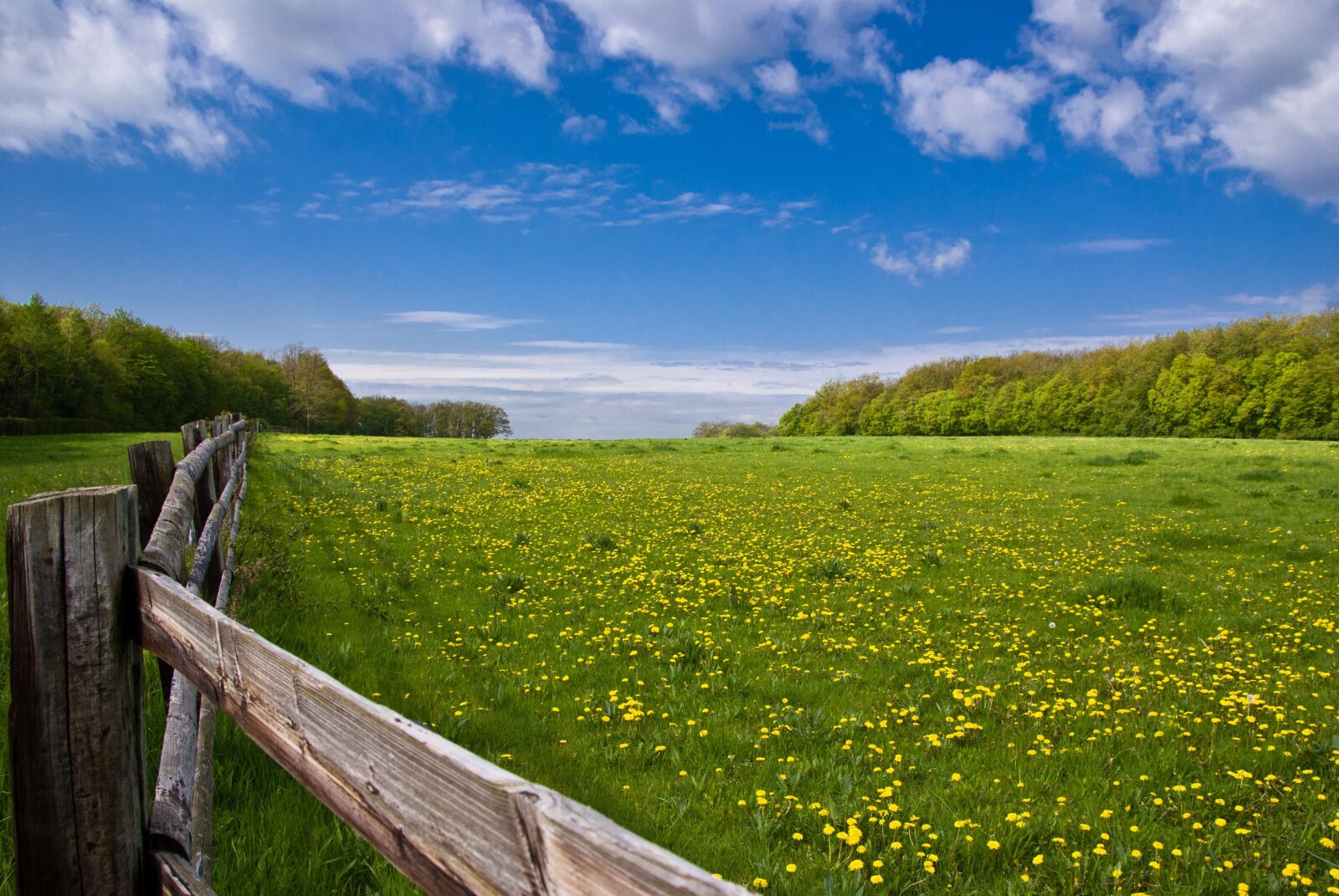 Sony Alpha DSLR-A100 sample photo. Nature, panorama, landscape photography