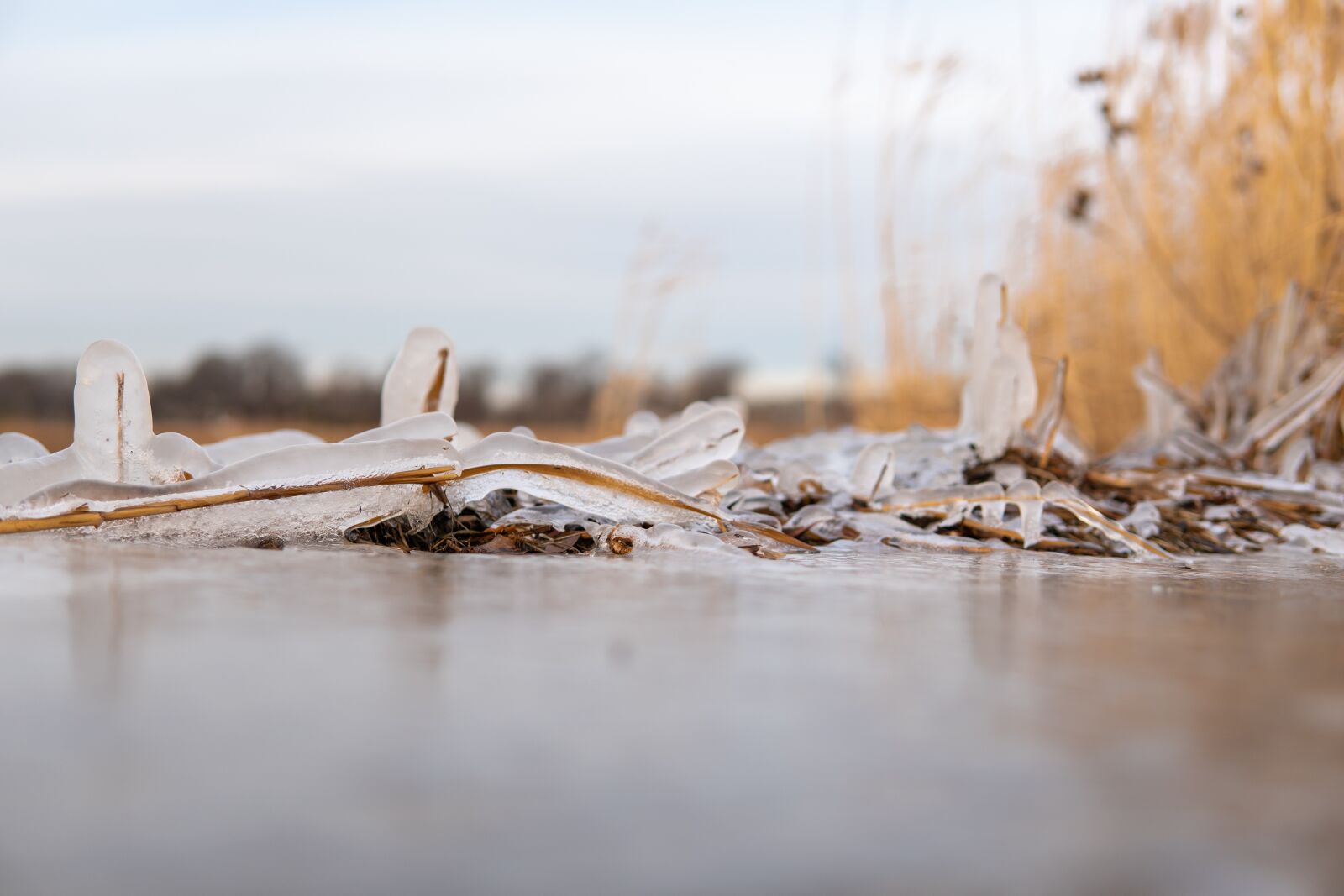 Sony a6500 sample photo. Ice, snow, winter photography