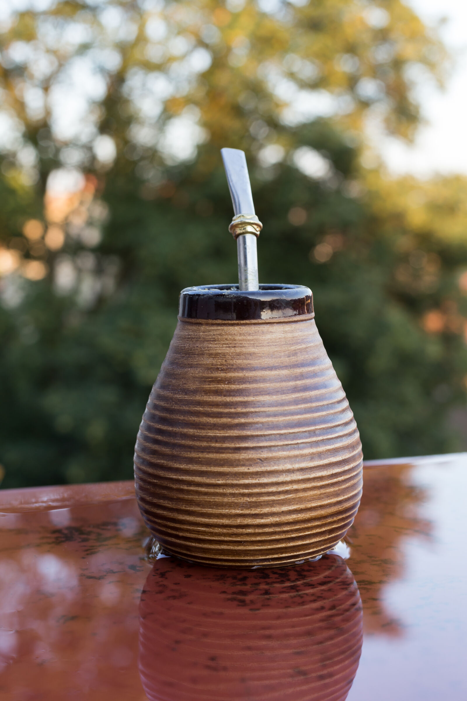 Canon EOS 6D + Canon EF 50mm F1.4 USM sample photo. Chill, holidays, mate, yerba photography
