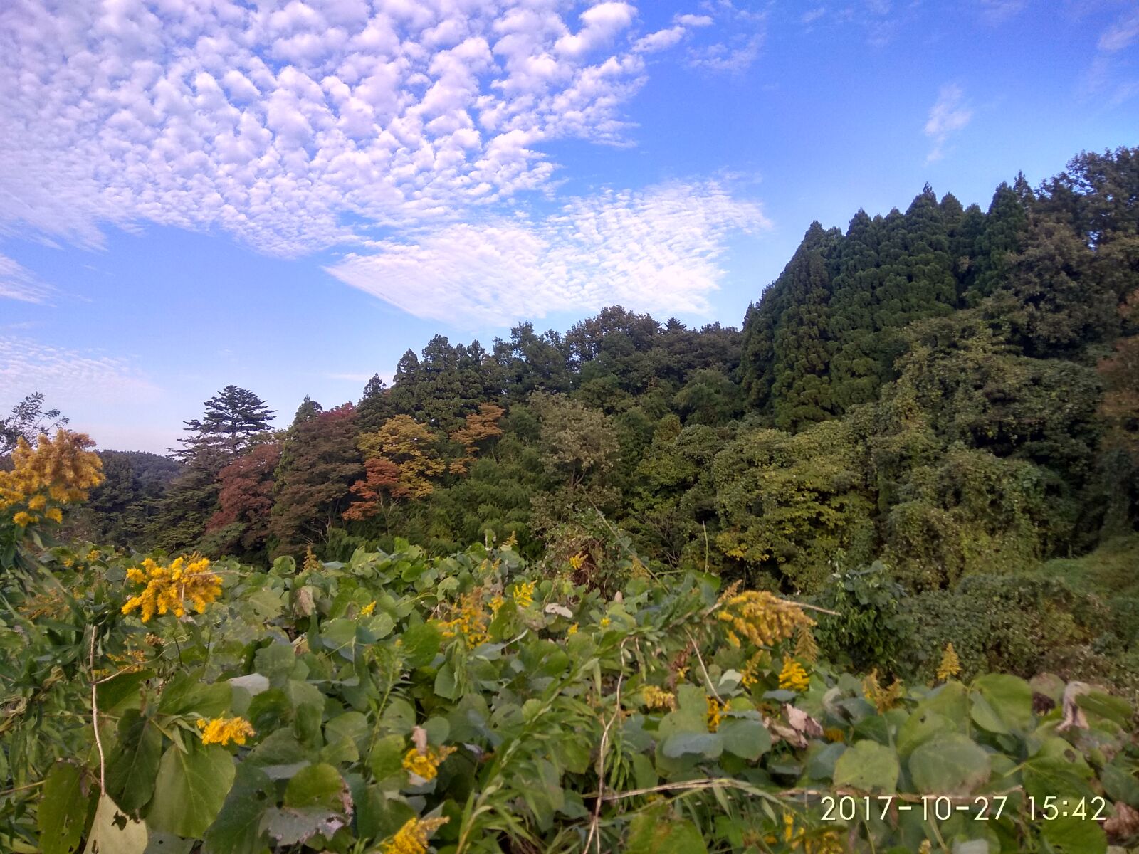 Xiaomi Redmi Note 4 sample photo