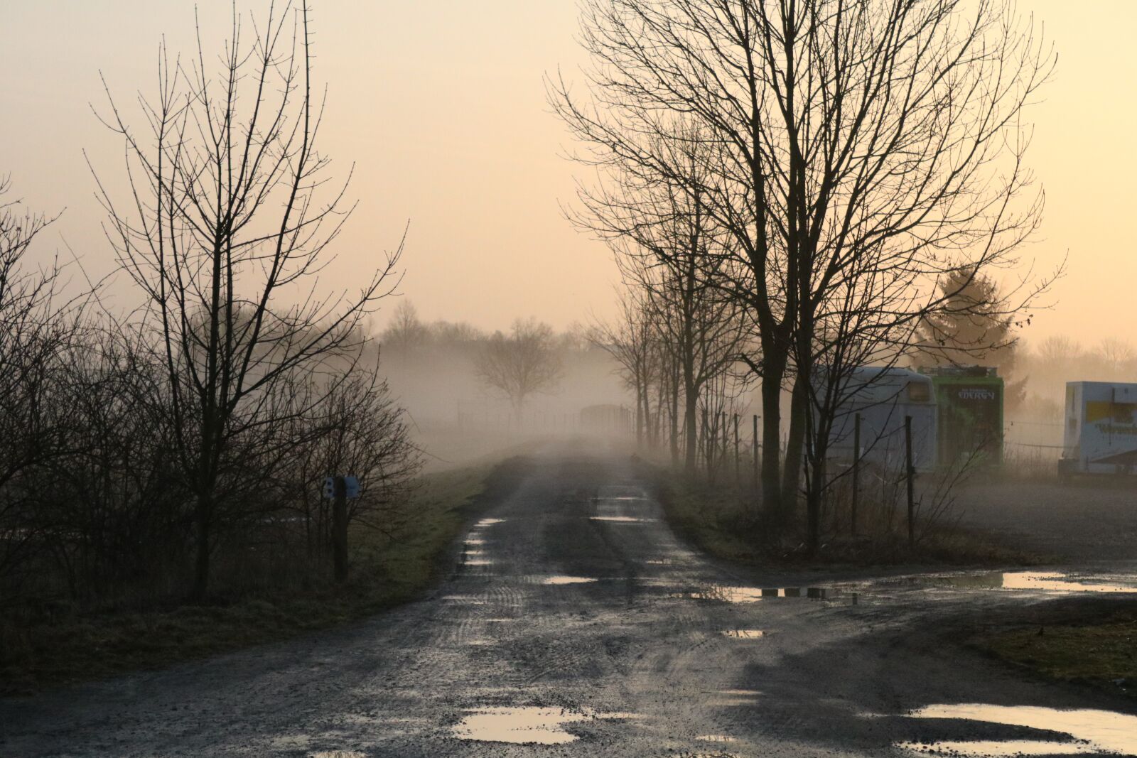Canon EOS 750D (EOS Rebel T6i / EOS Kiss X8i) sample photo. Dew, ripe, puddle photography