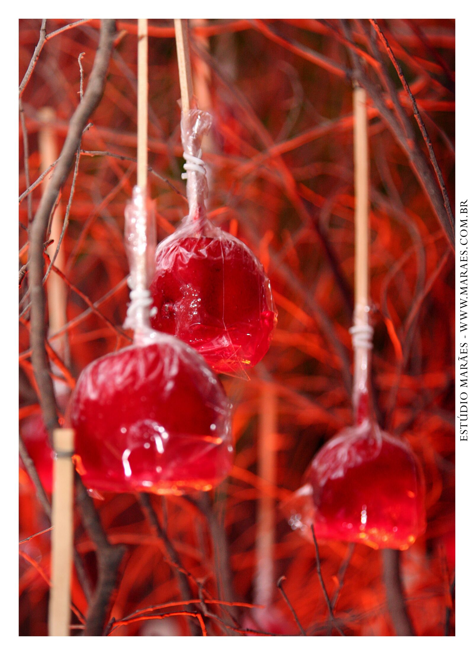 Canon EOS 20D sample photo. Cascade, chocolate, party photography
