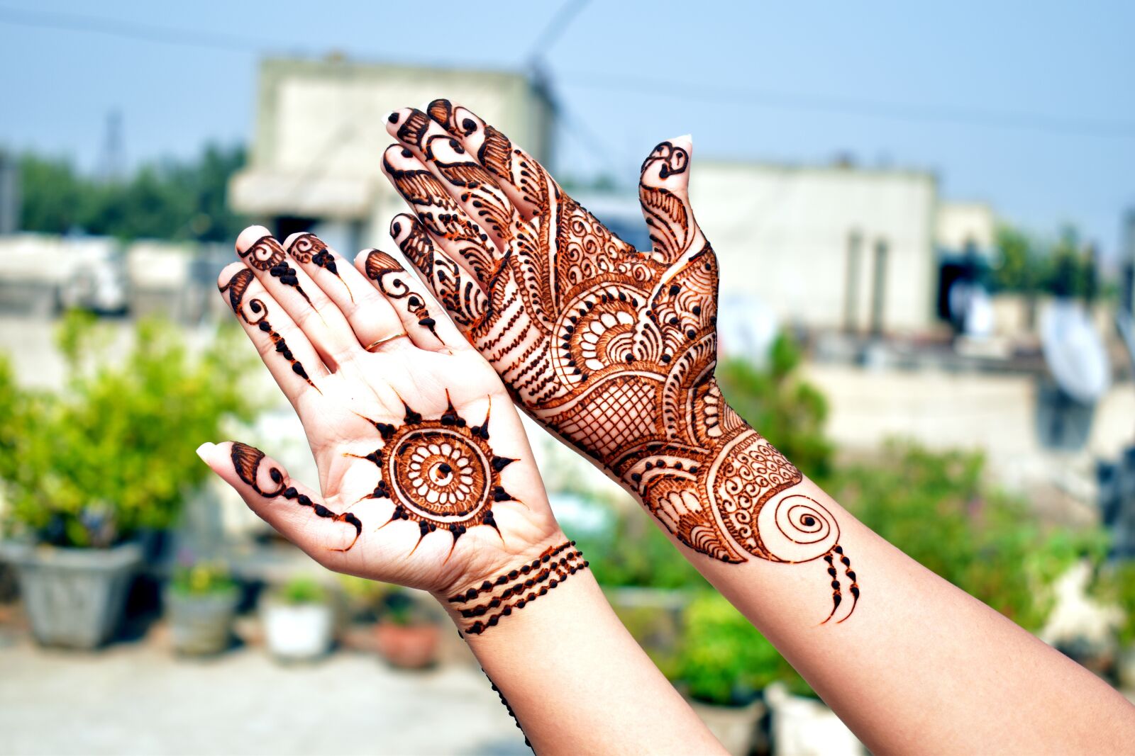 Nikon D5600 sample photo. Mehndi, color imprints, decorated photography