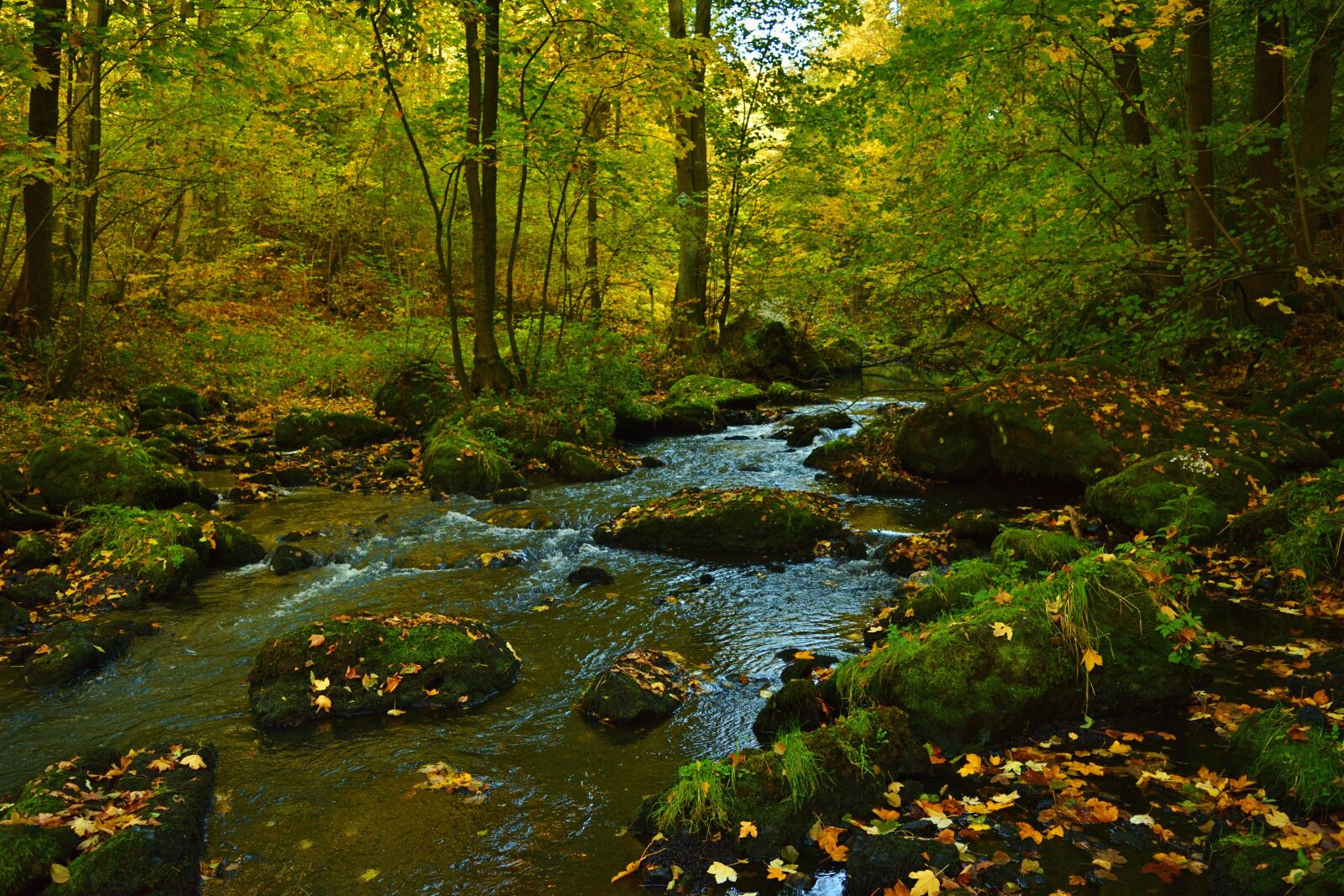 Nikon D5200 sample photo. Nature, creek, landscape photography