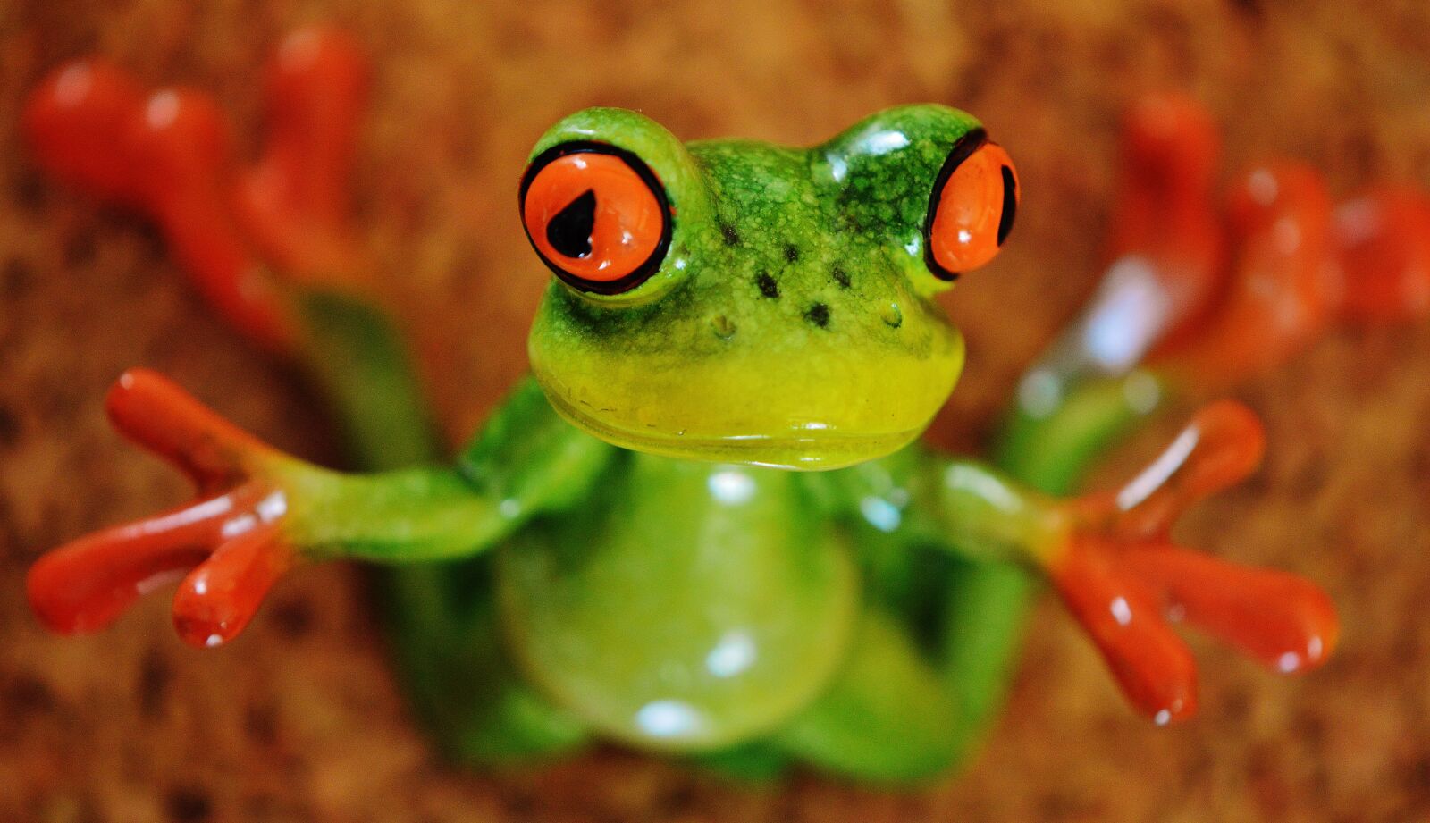 Nikon D3200 sample photo. Frog, funny, figure photography