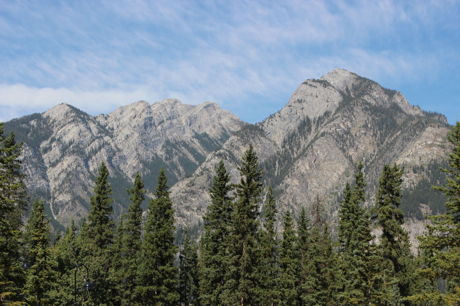 Canon EOS 600D (Rebel EOS T3i / EOS Kiss X5) sample photo. Calm, environment, fir, trees photography