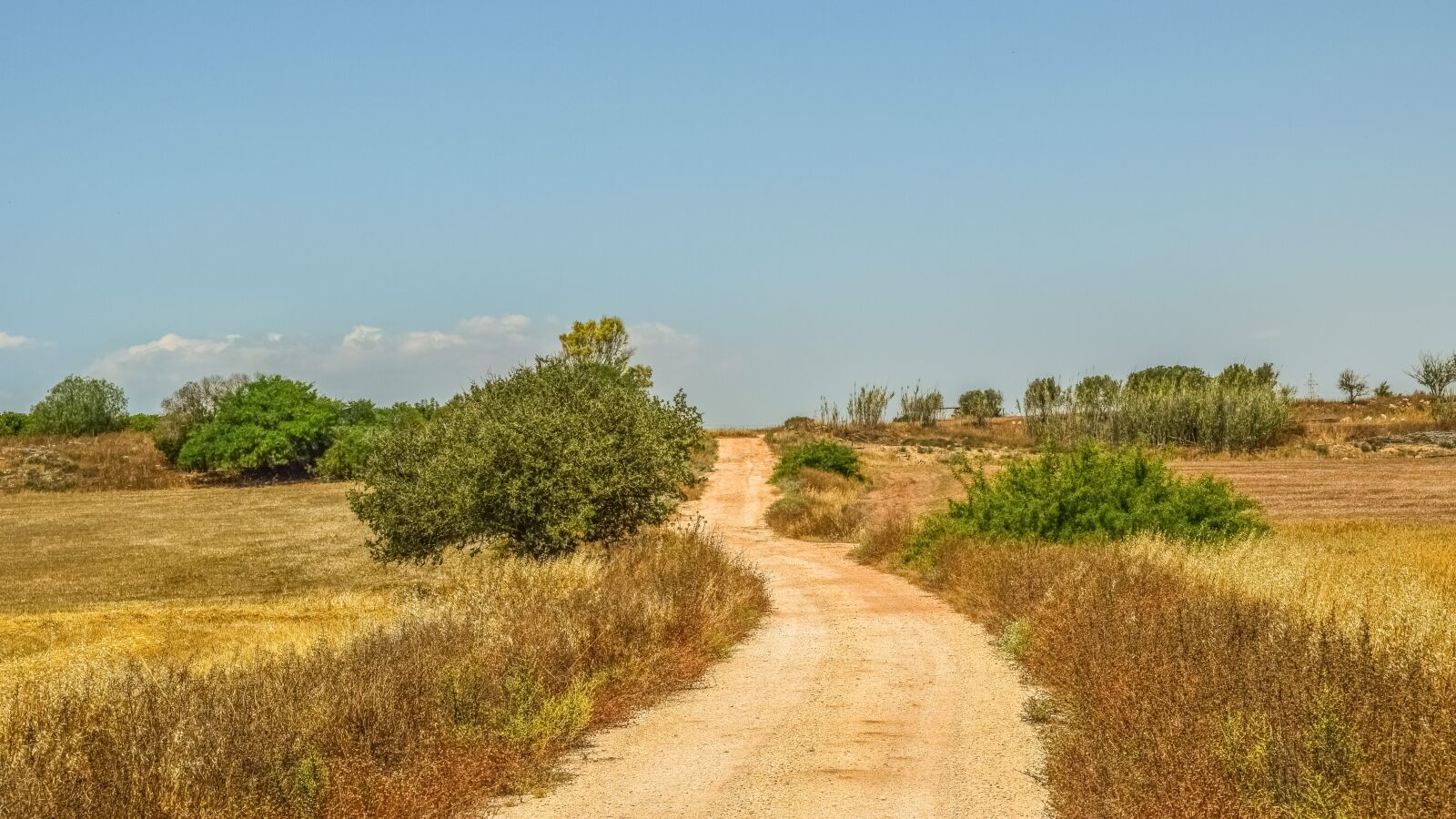 Nikon D3300 sample photo. Country road, countryside, road photography